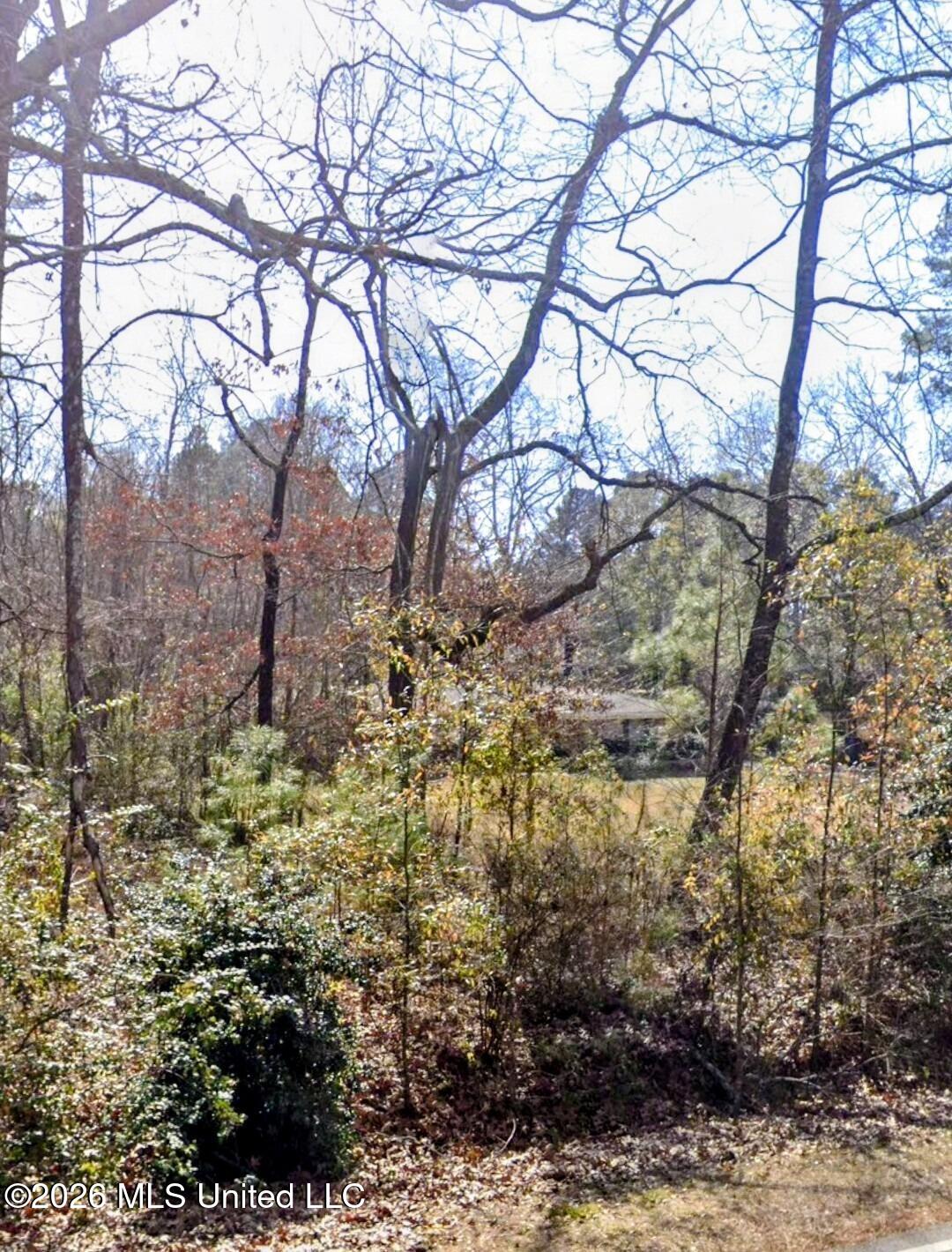 Lake Shore Road Property Photo 5