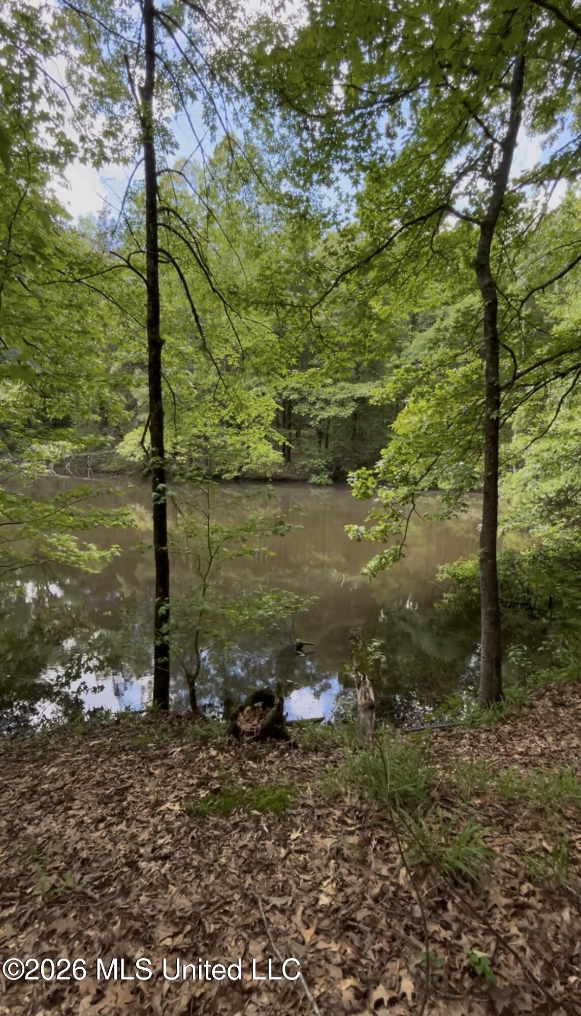 5235 Highway 51 Property Photo 1