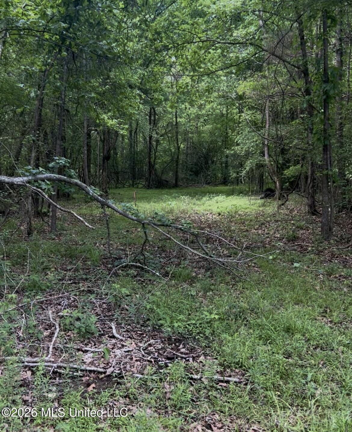 5235 Highway 51 Property Photo 2