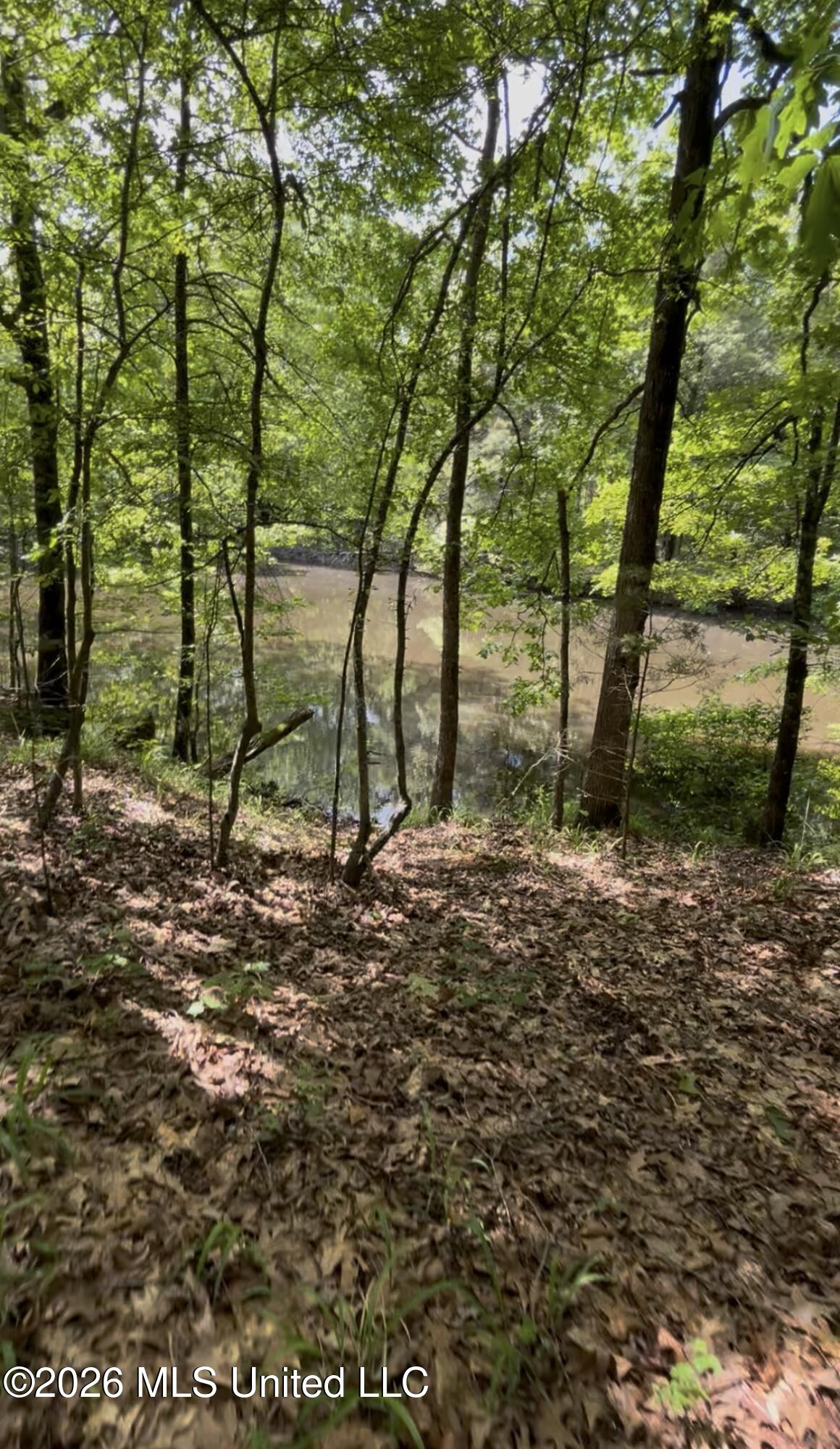 5235 Highway 51 Property Photo 4