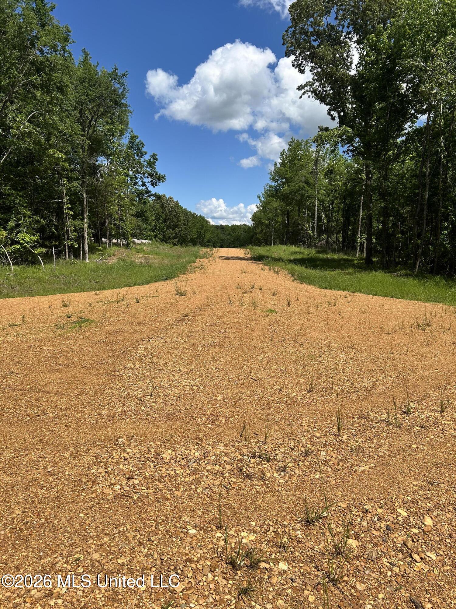 5235 Highway 51 Property Photo 5