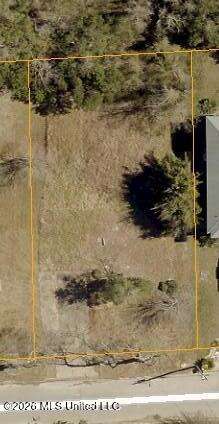 702 Saint Mary Street Property Photo 2