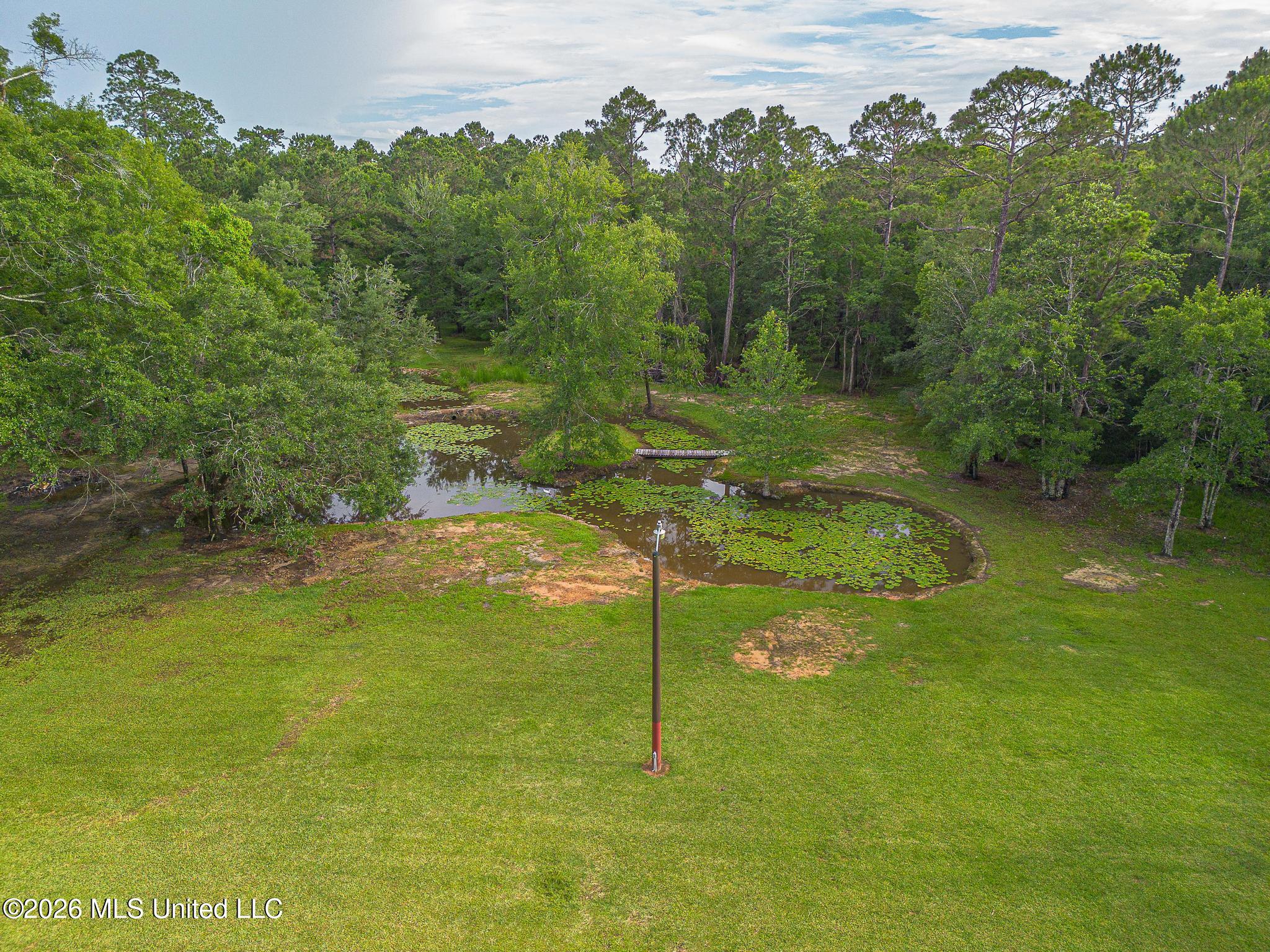 11353 Hattie K Drive Property Photo 31