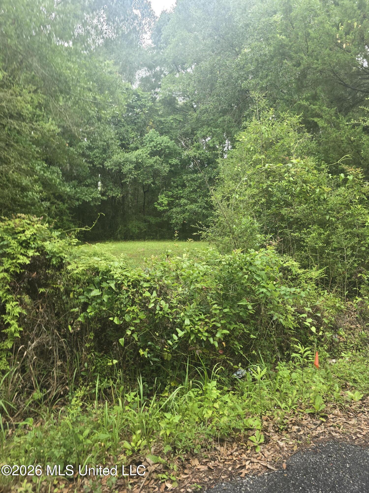 Elder Ferry Road Property Photo 1