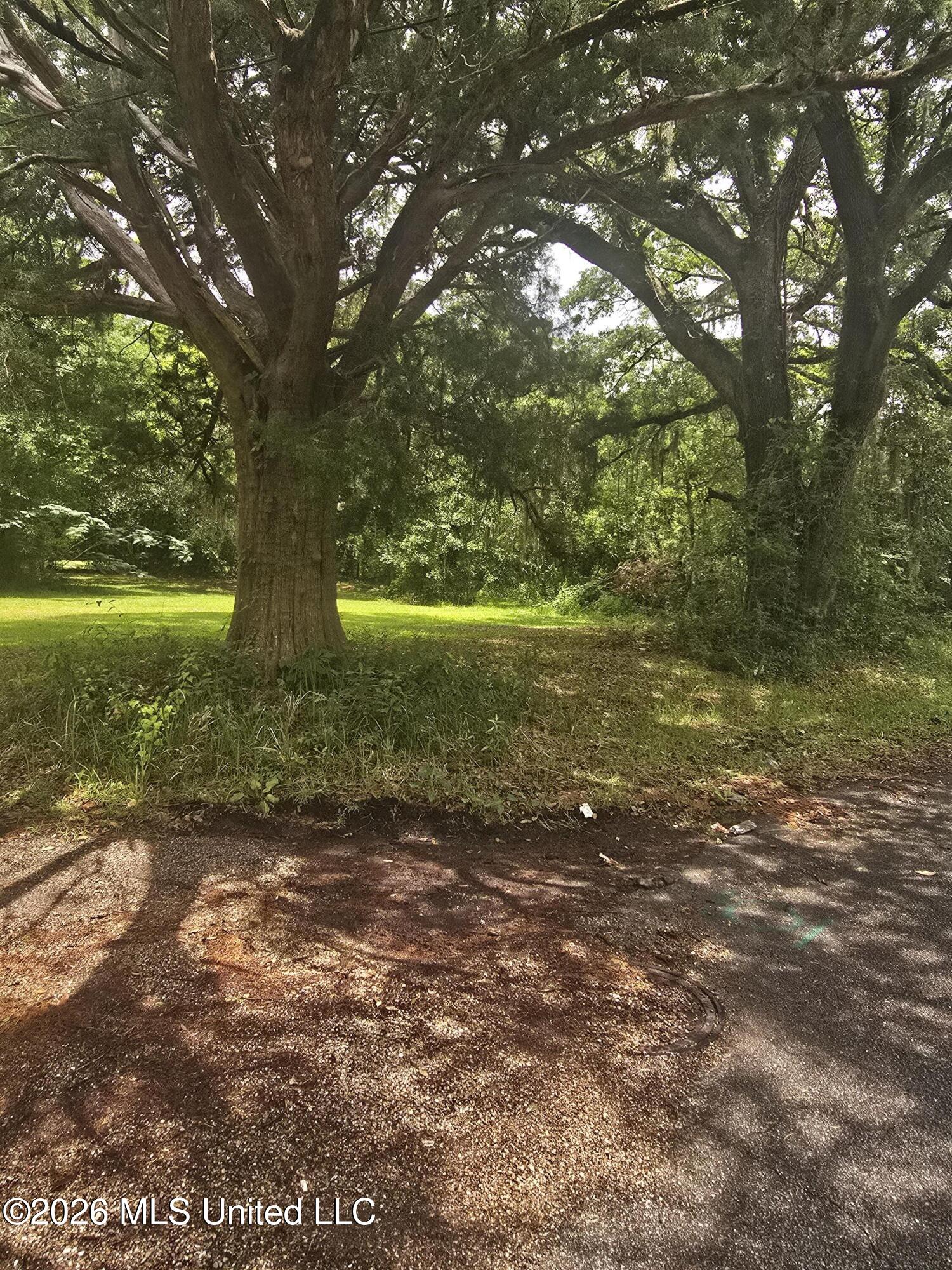 Jamestown Road Property Photo 1