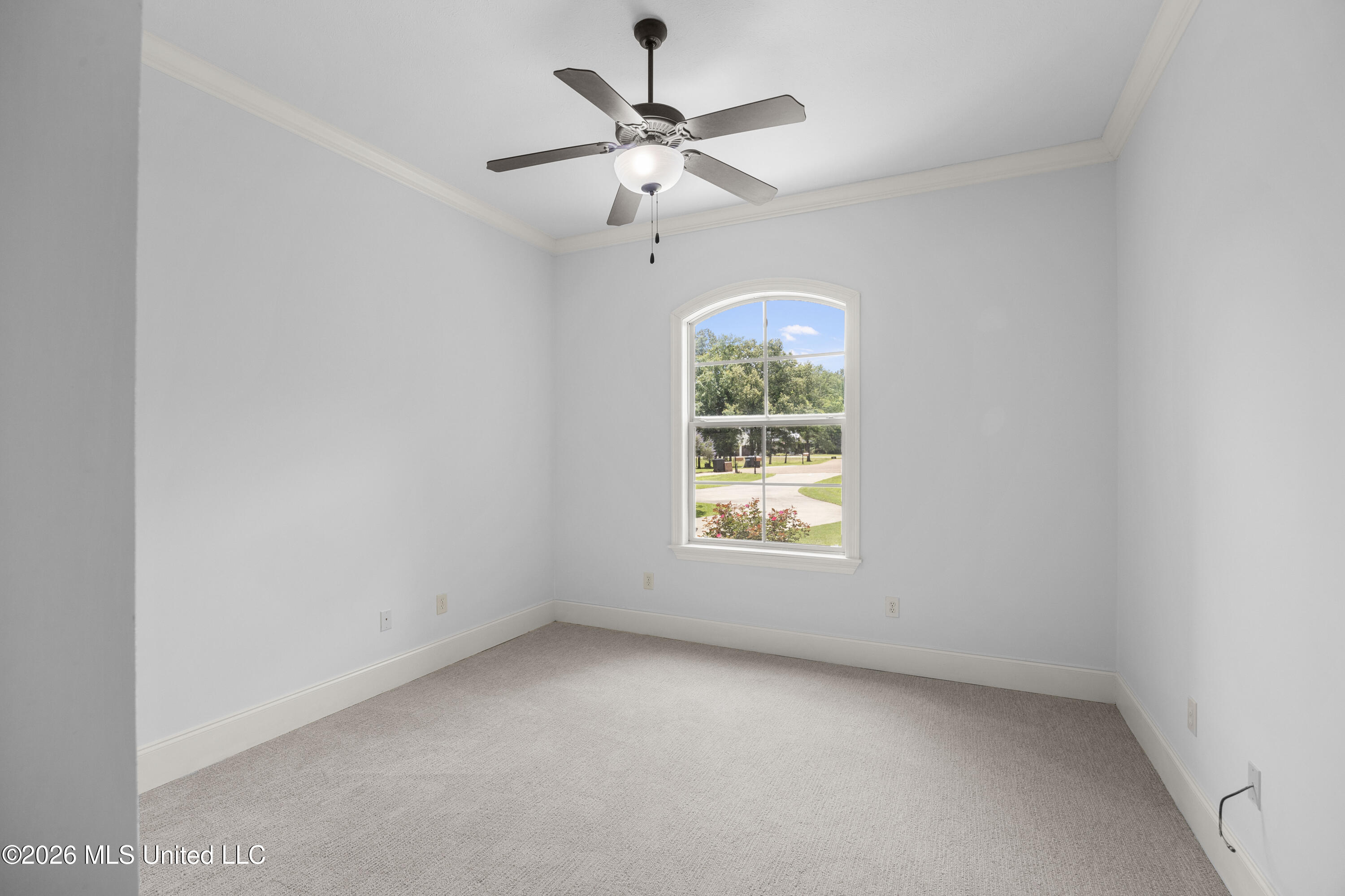 116 Cherry Rose Trail Property Photo 25