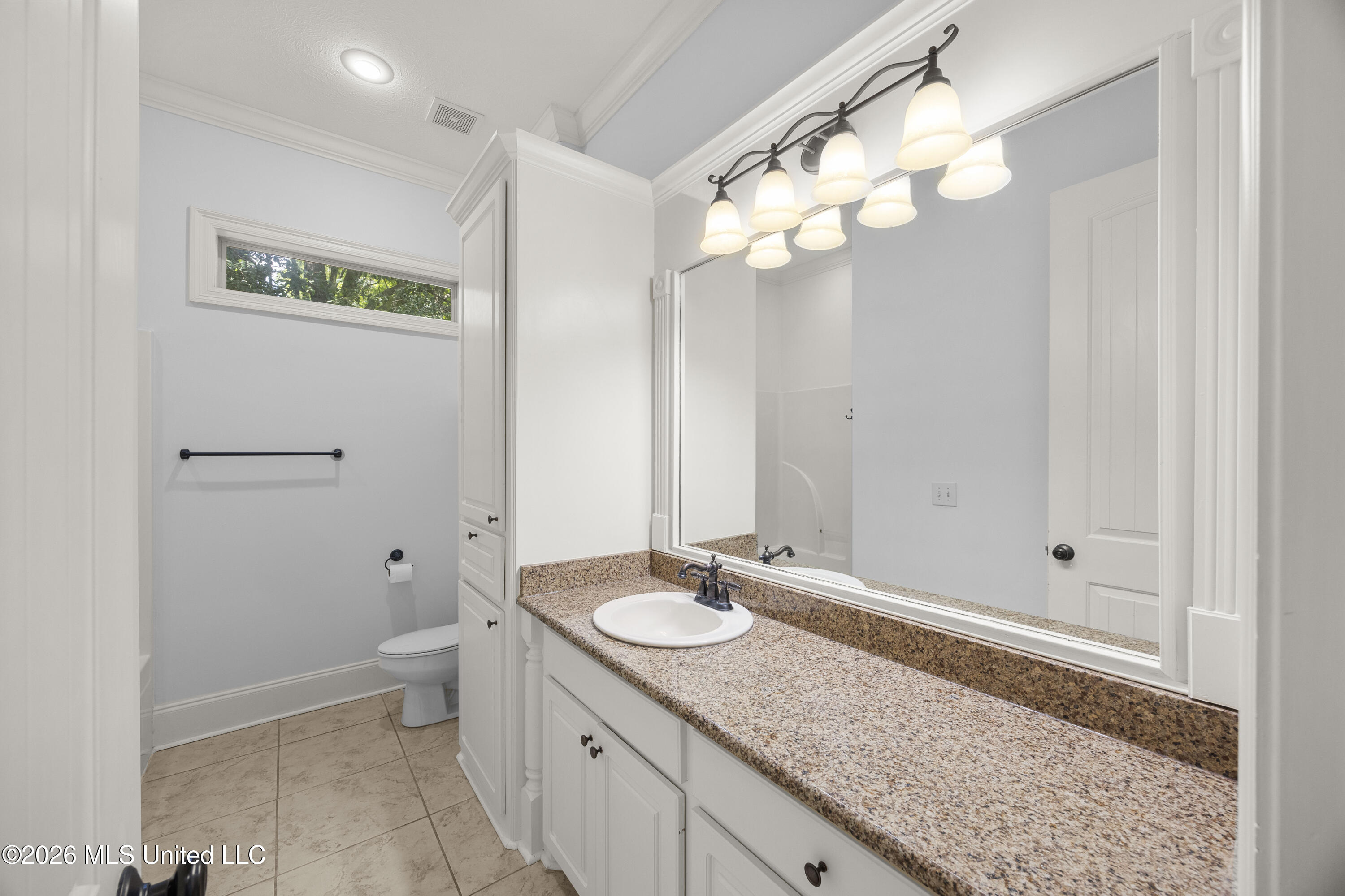 116 Cherry Rose Trail Property Photo 29
