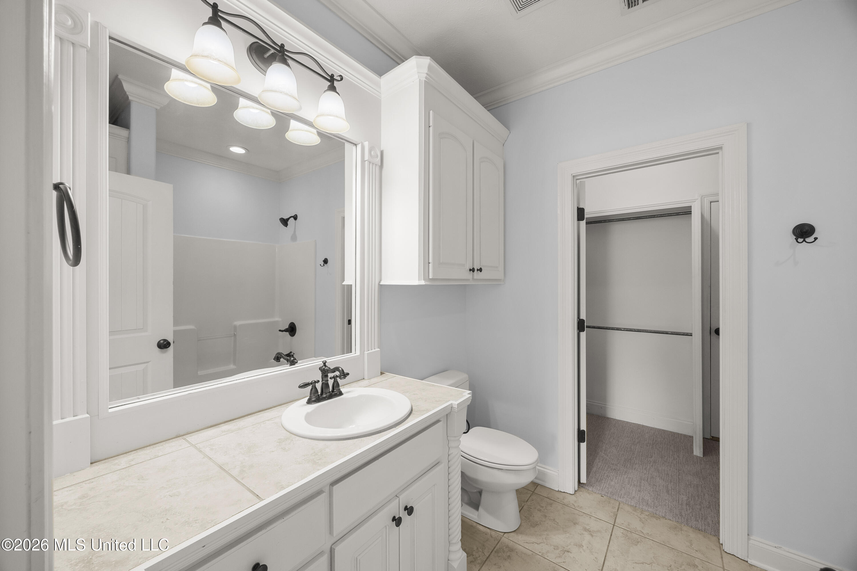 116 Cherry Rose Trail Property Photo 39