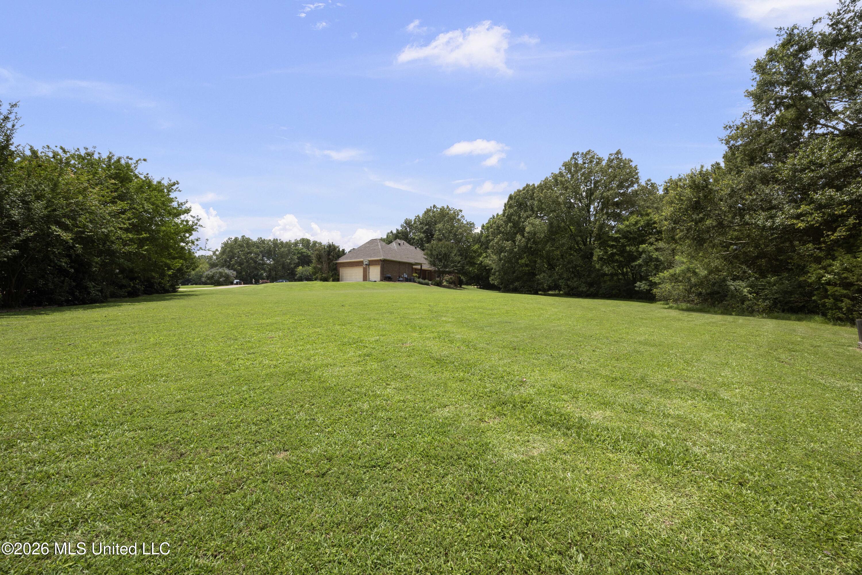 116 Cherry Rose Trail Property Photo 45