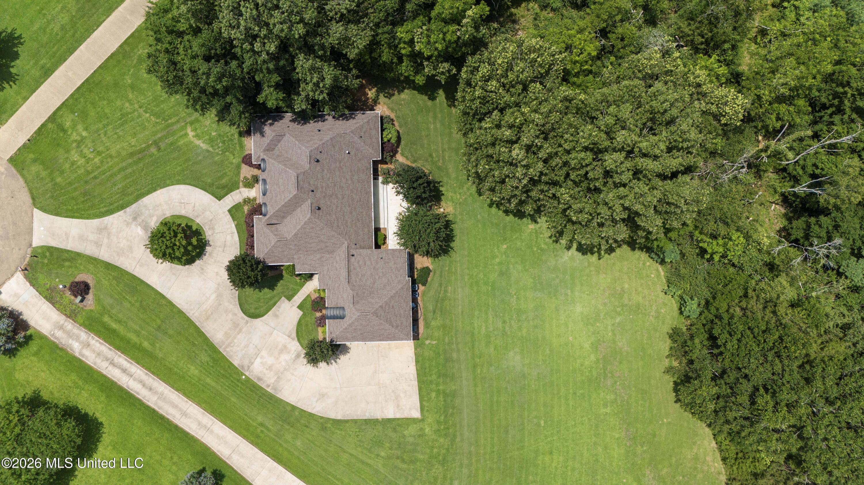 116 Cherry Rose Trail Property Photo 48