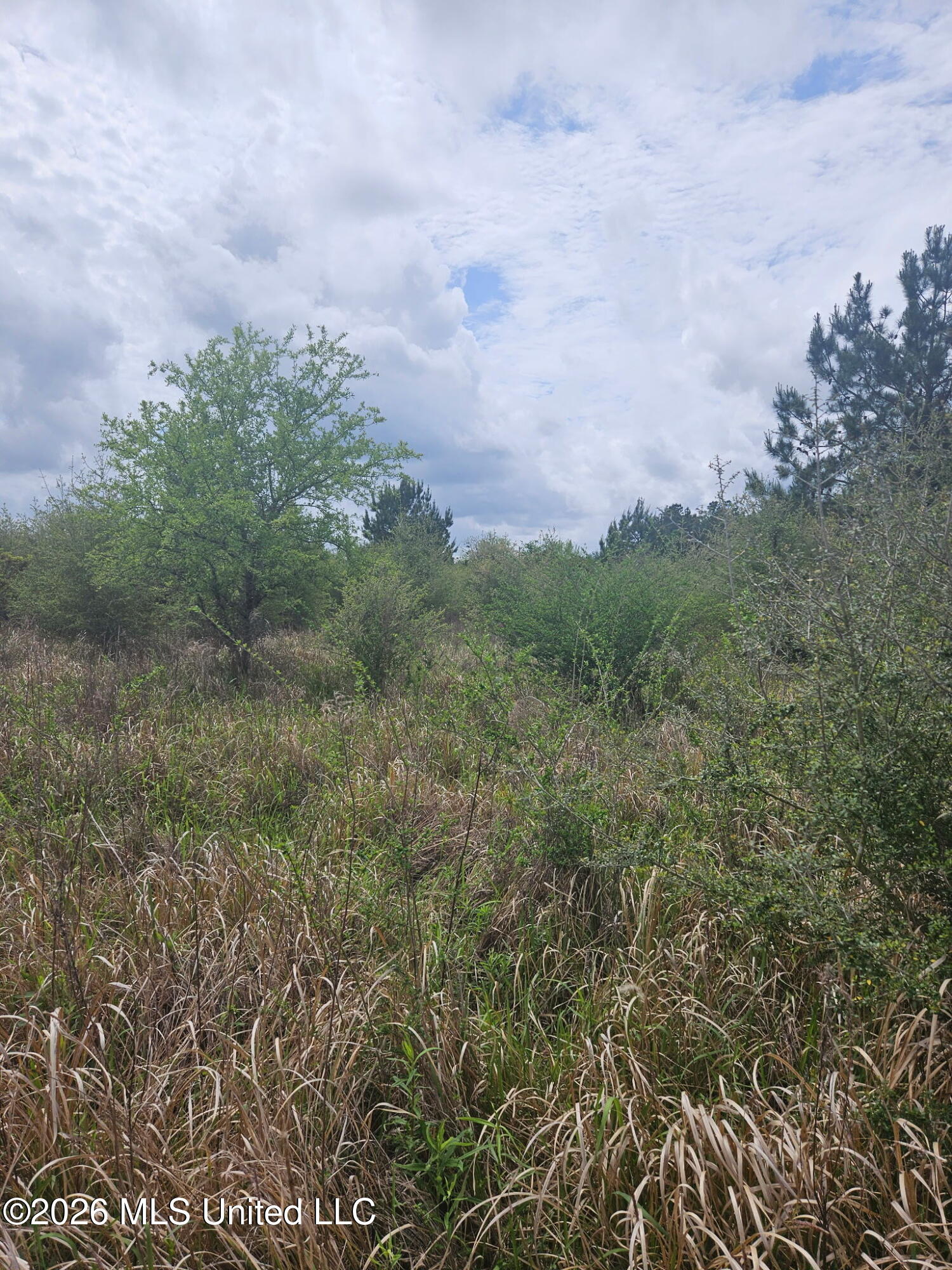 6211 Wesley Powell Road Property Photo 7