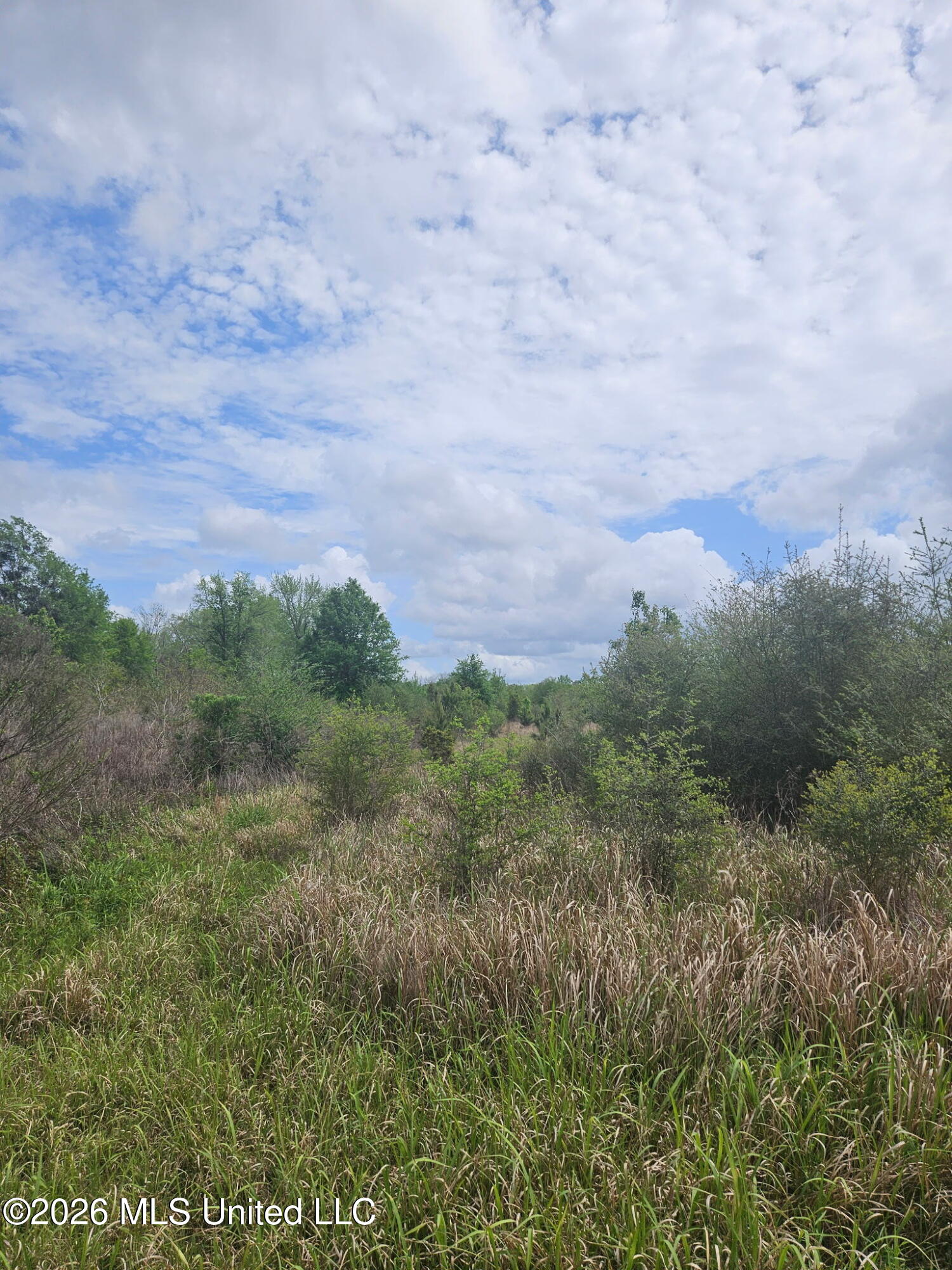 6211 Wesley Powell Road Property Photo 9