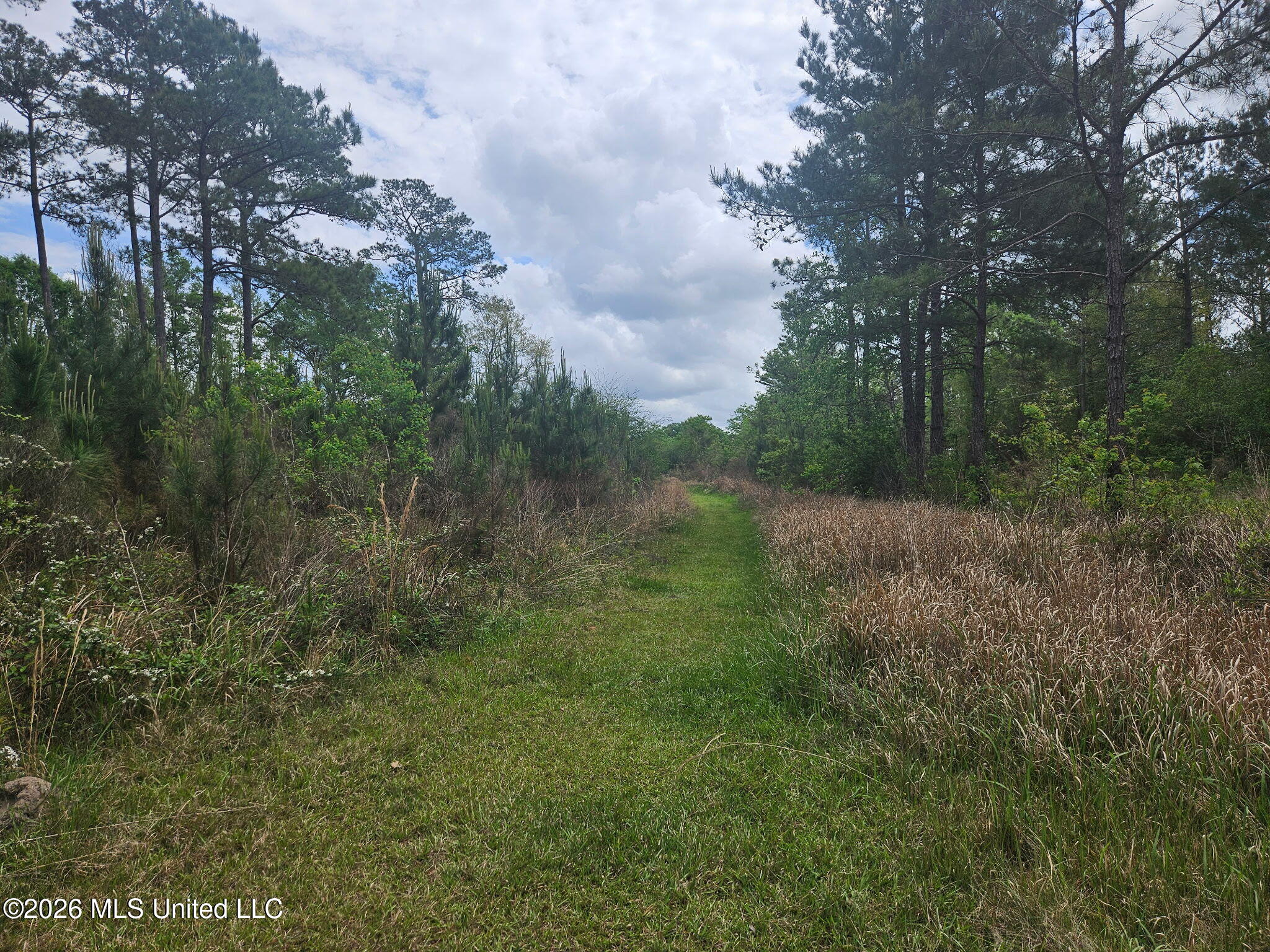 6211 Wesley Powell Road Property Photo 11
