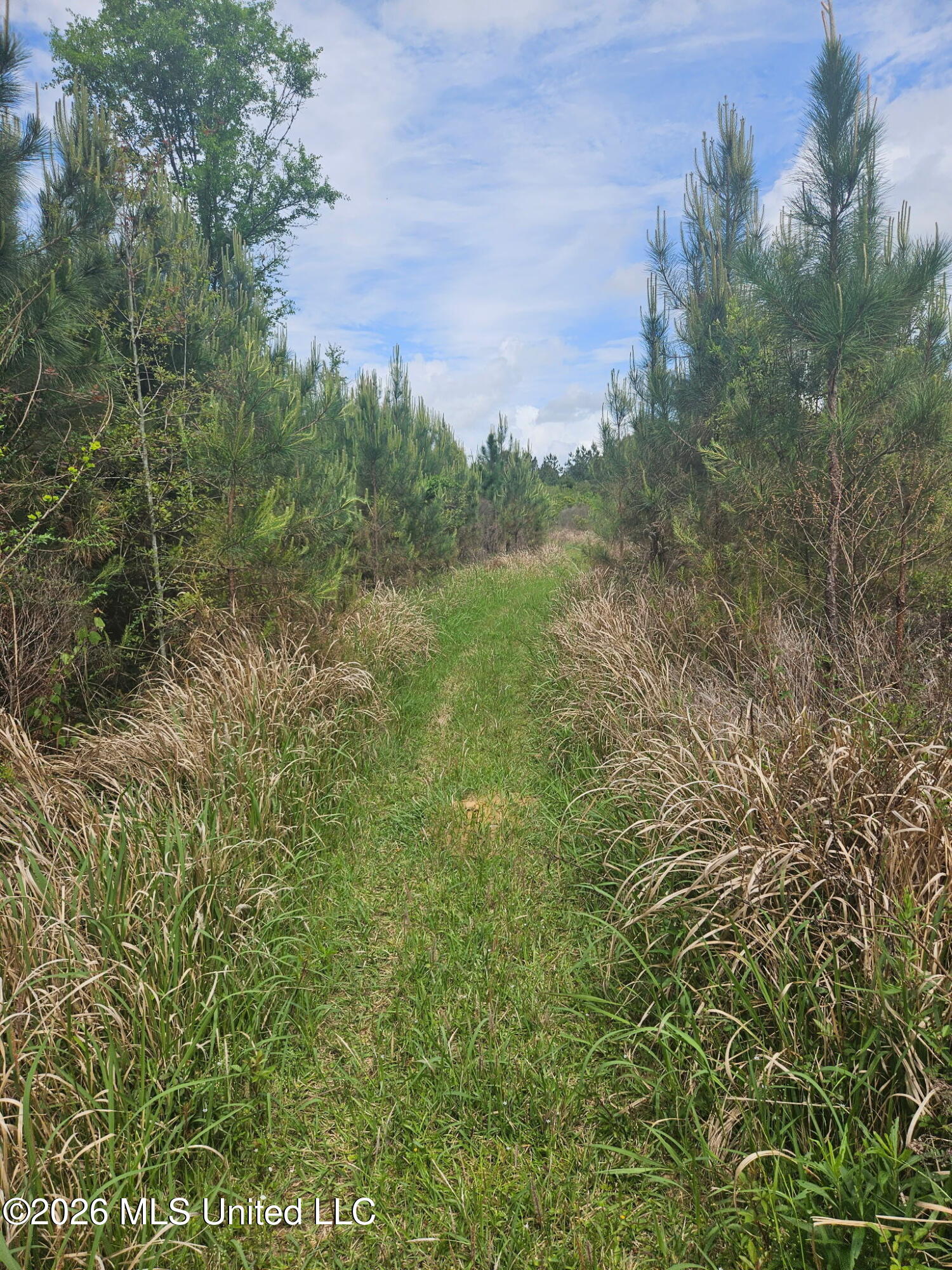 6211 Wesley Powell Road Property Photo 14