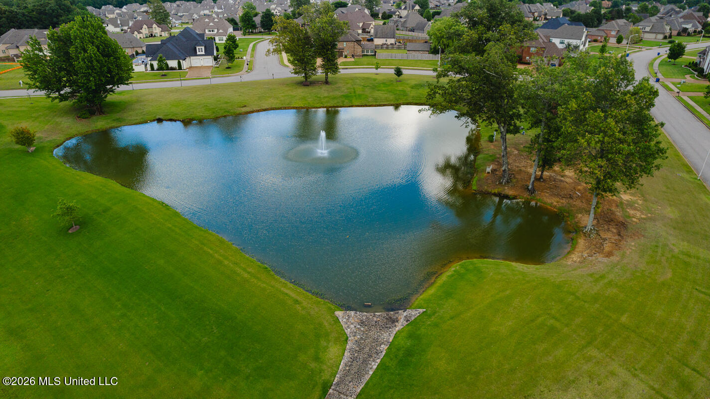 4417 Dawkins Farm Drive Property Photo 5