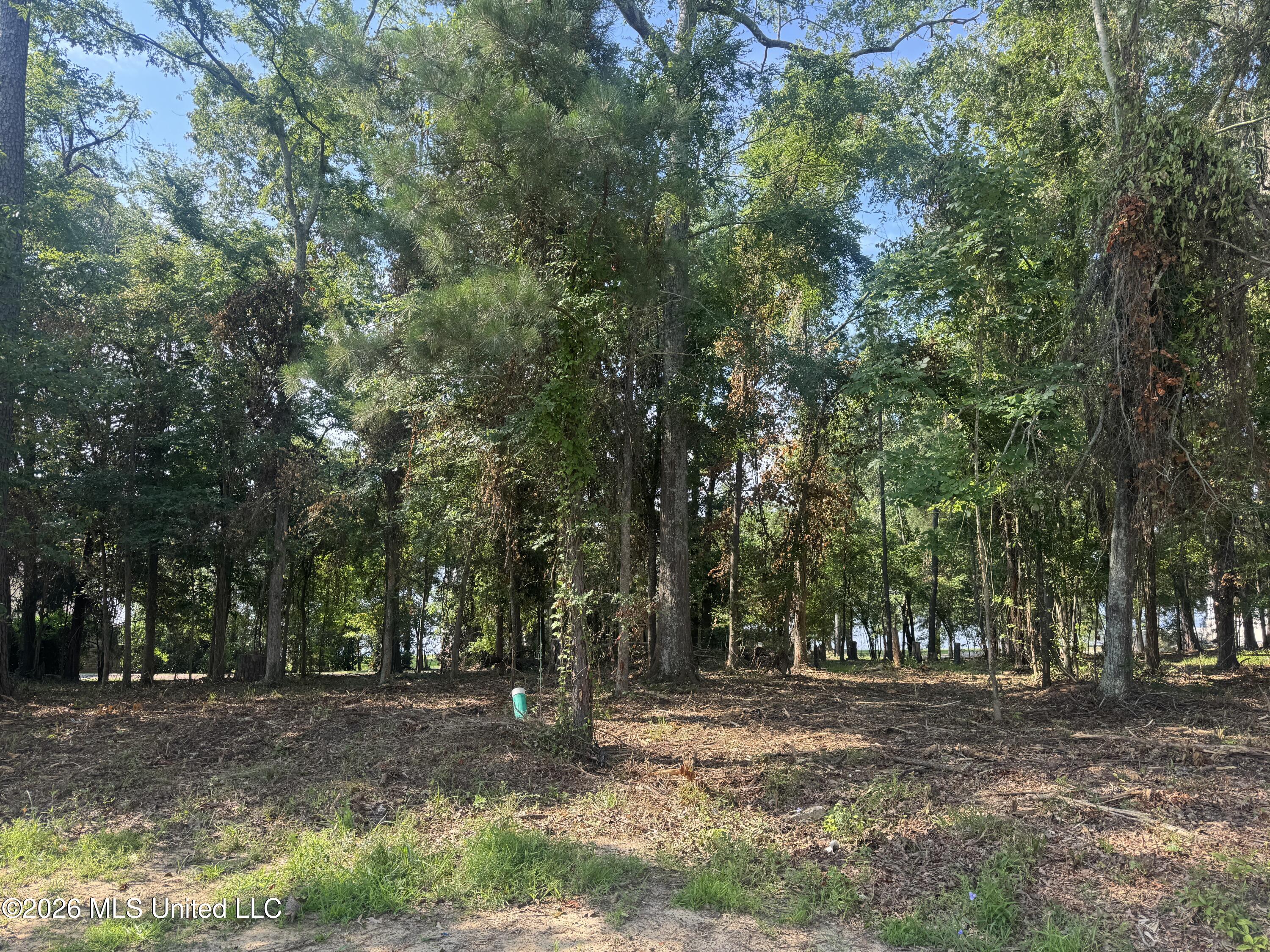 N Natchez Drive Property Photo 2