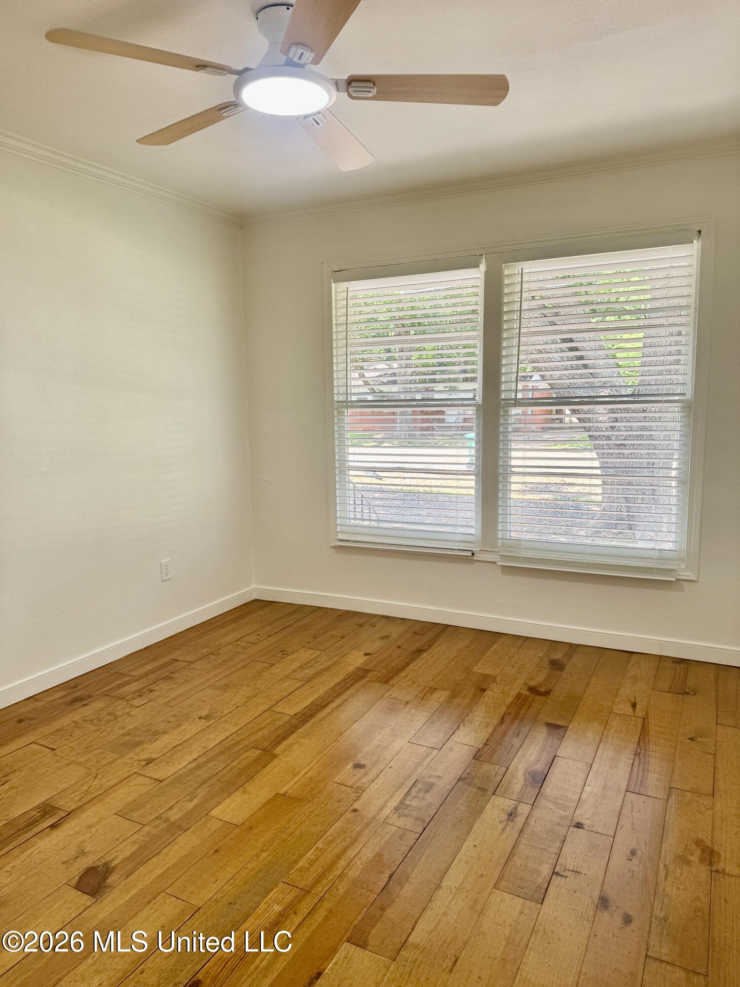 117 Grape Street Property Photo 20