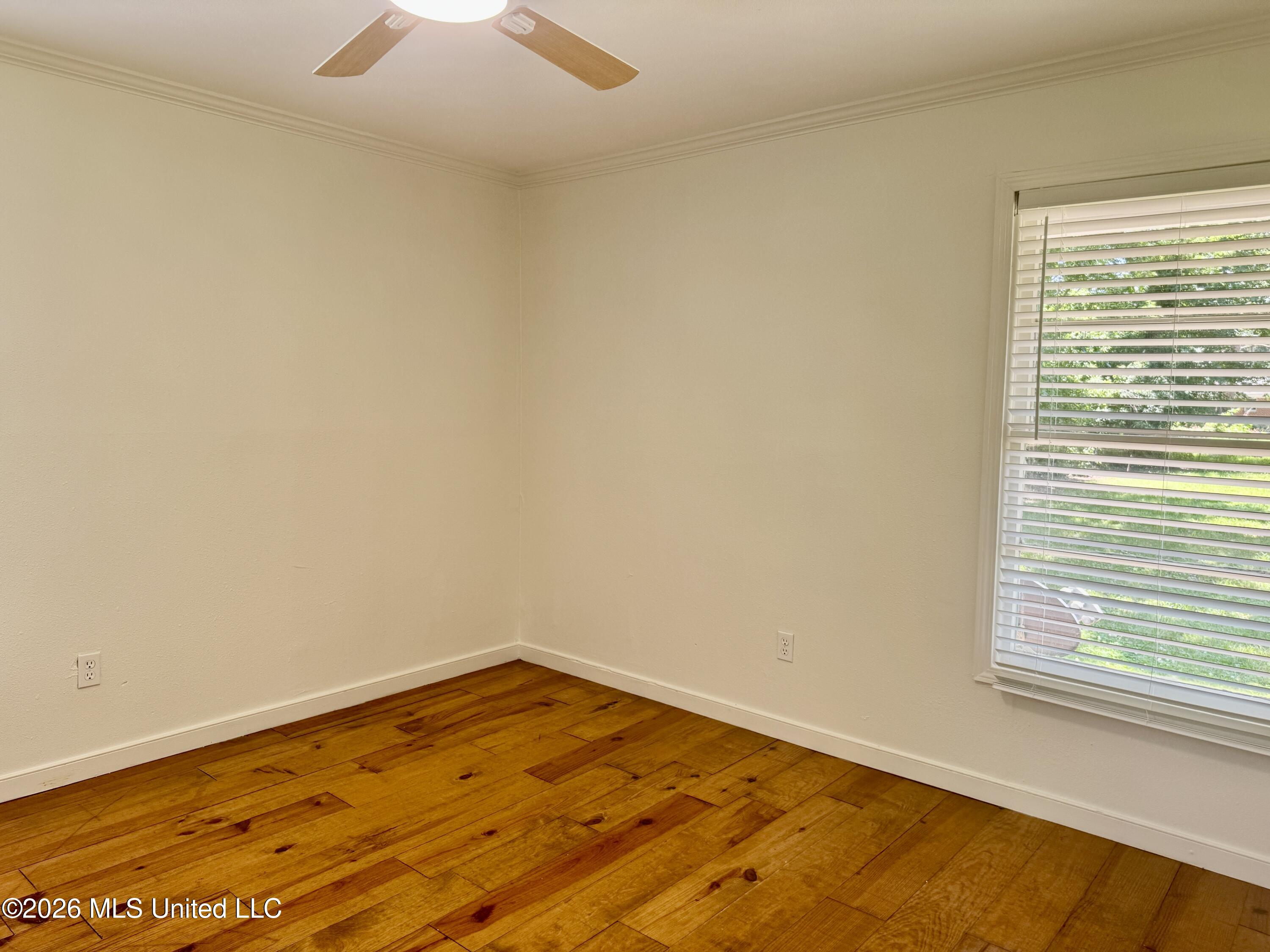 117 Grape Street Property Photo 21