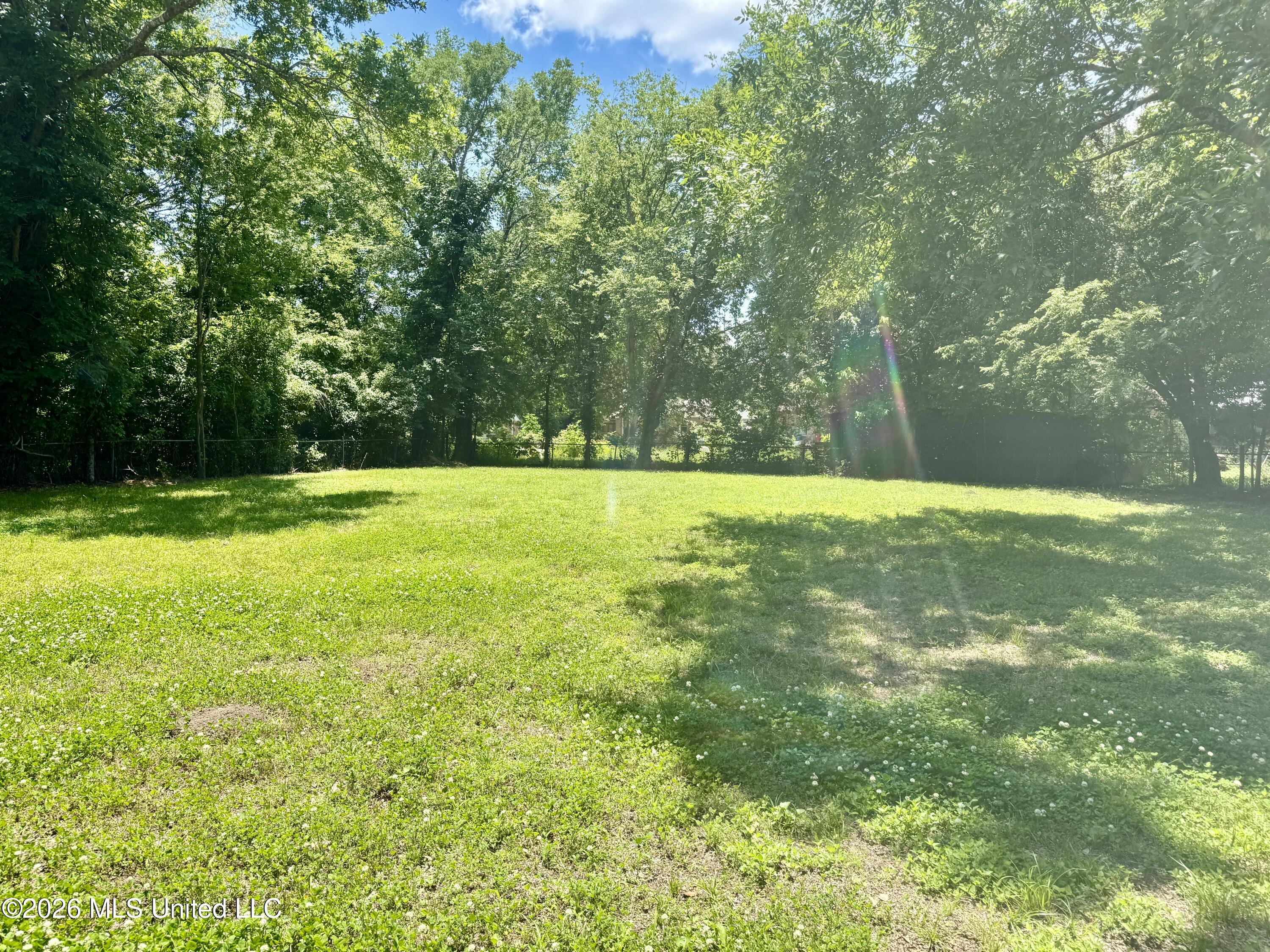 117 Grape Street Property Photo 26