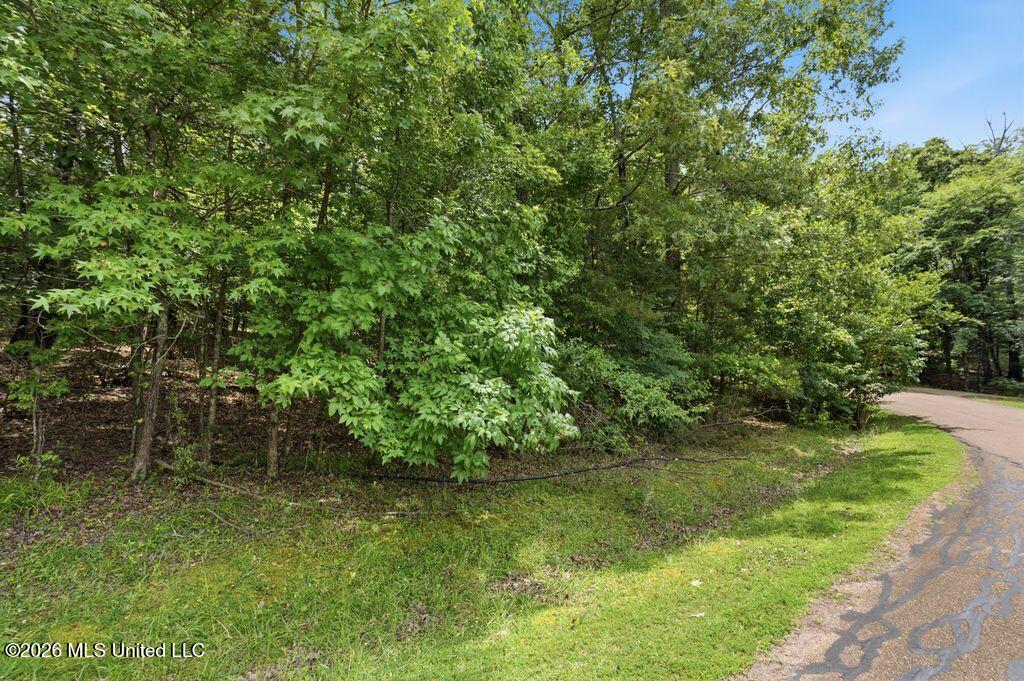 0 Dover Lane Property Photo 1