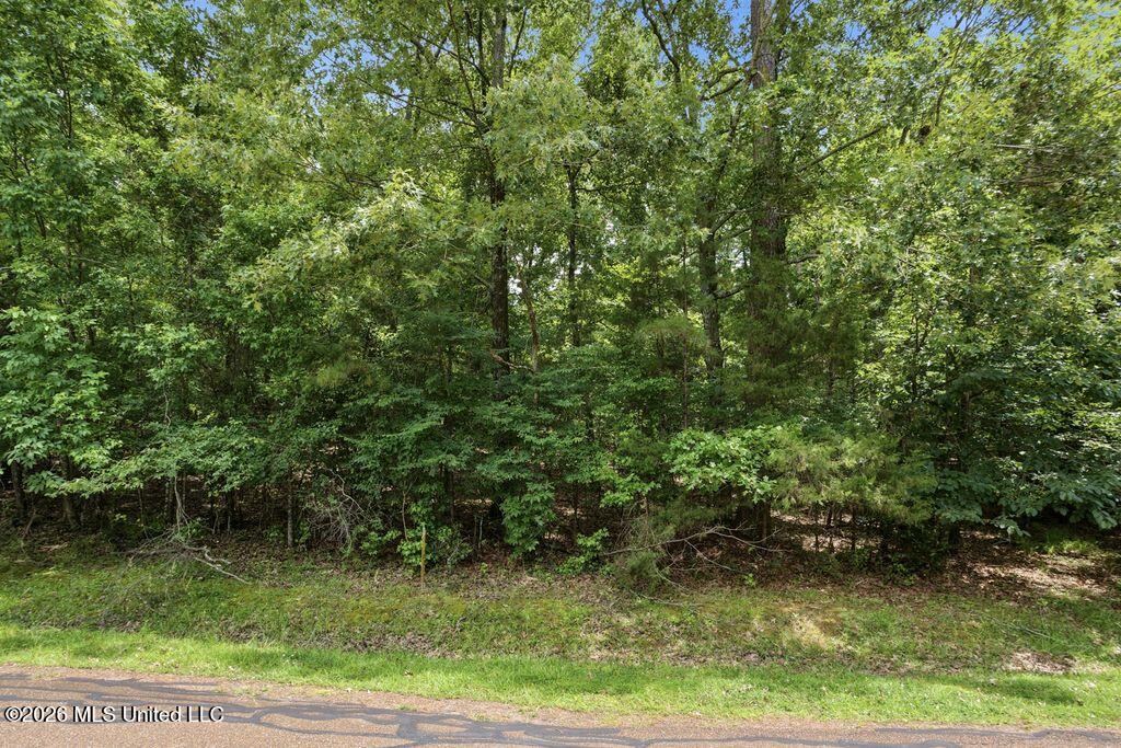 0 Dover Lane Property Photo 2