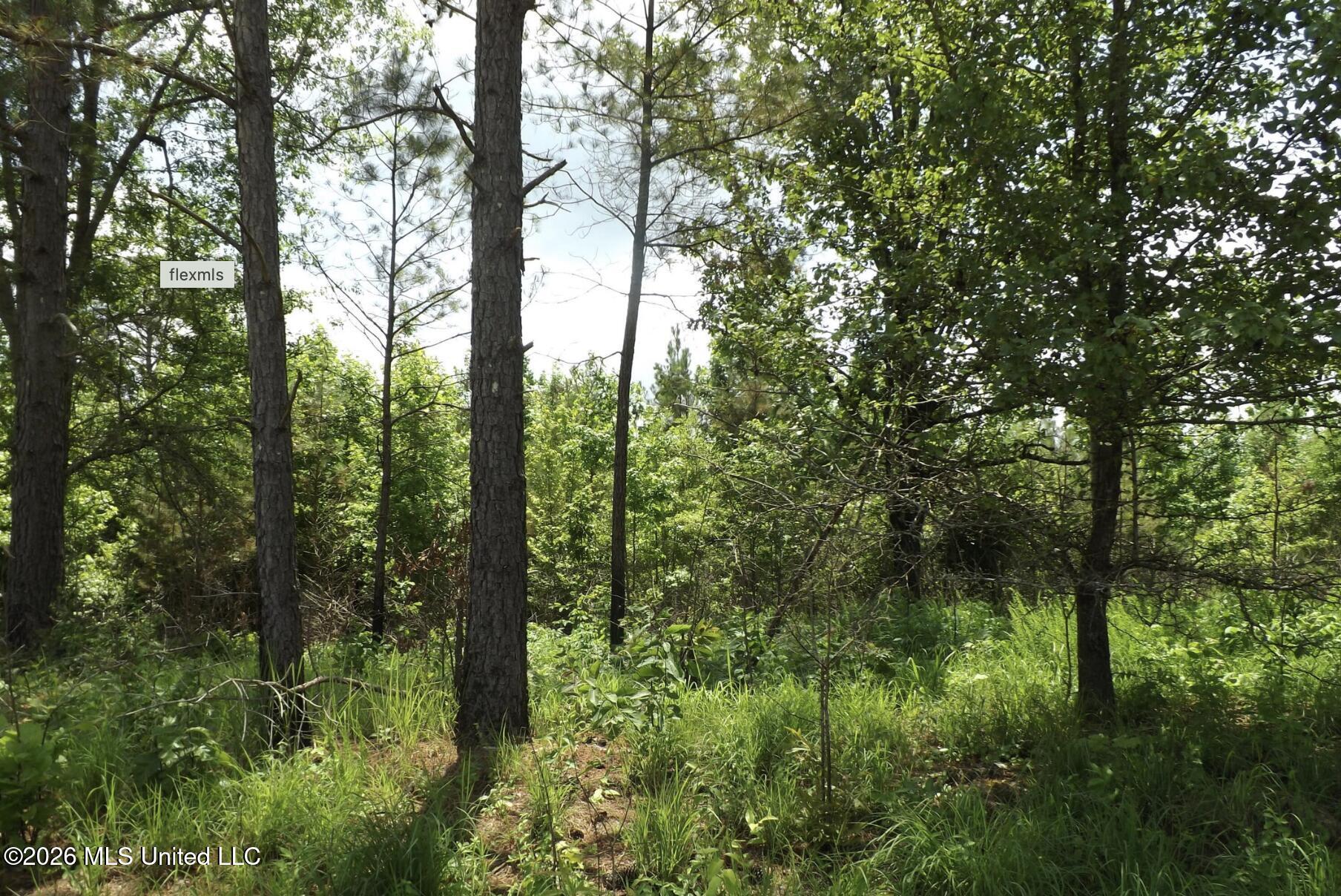Randletown Road Property Photo 1