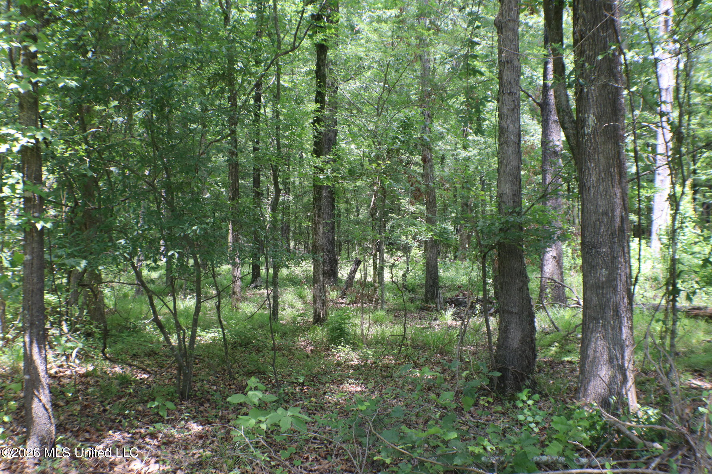 Vine Drive Property Photo 4