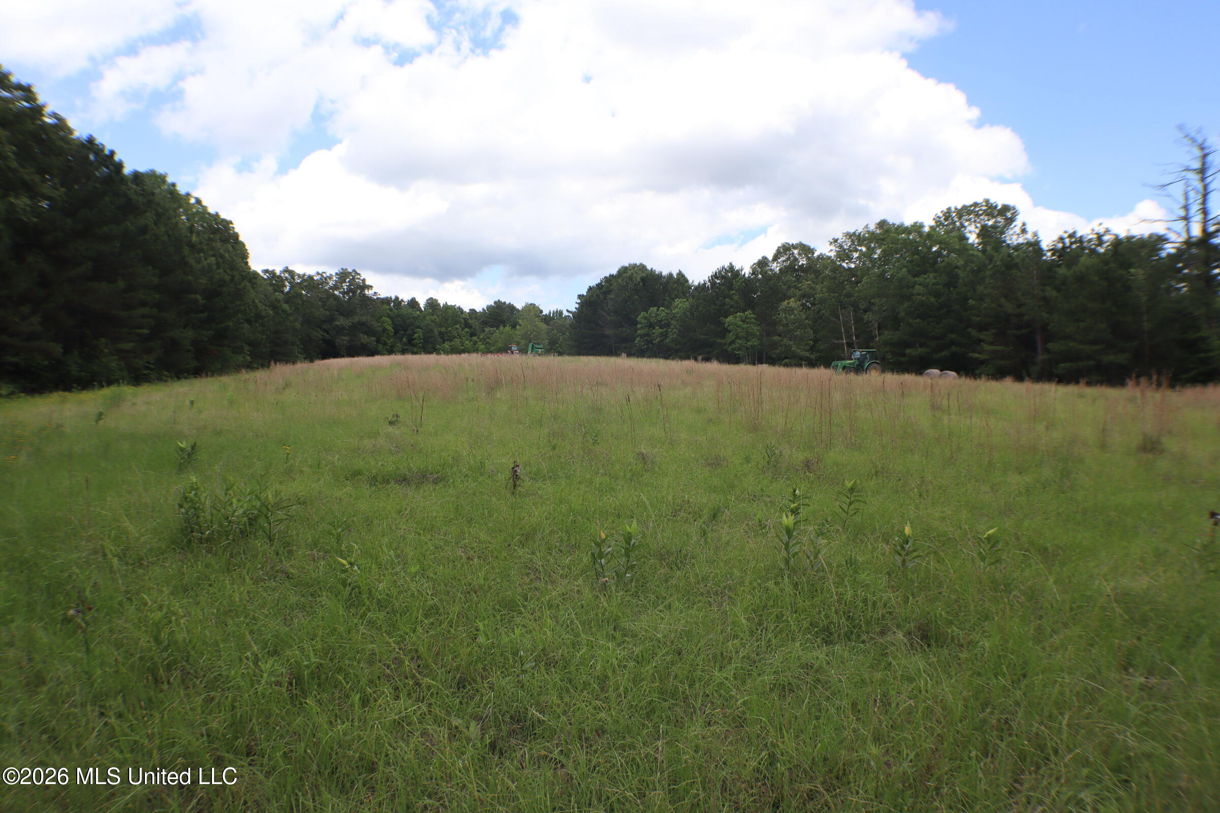 Vine Drive Property Photo 6