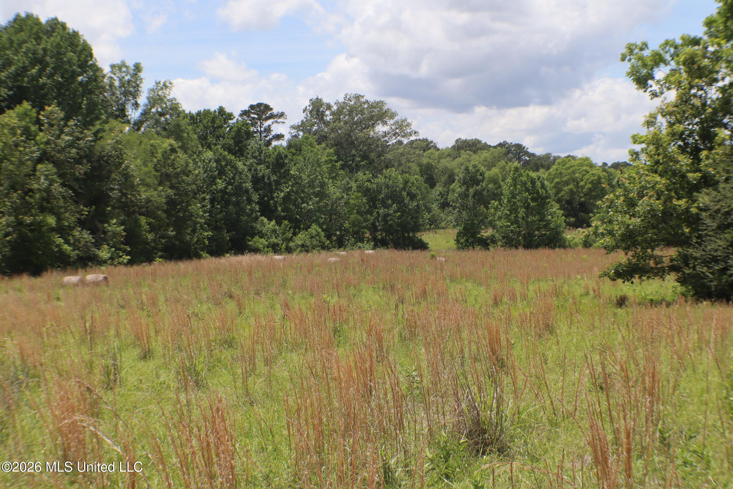 Vine Drive Property Photo 7