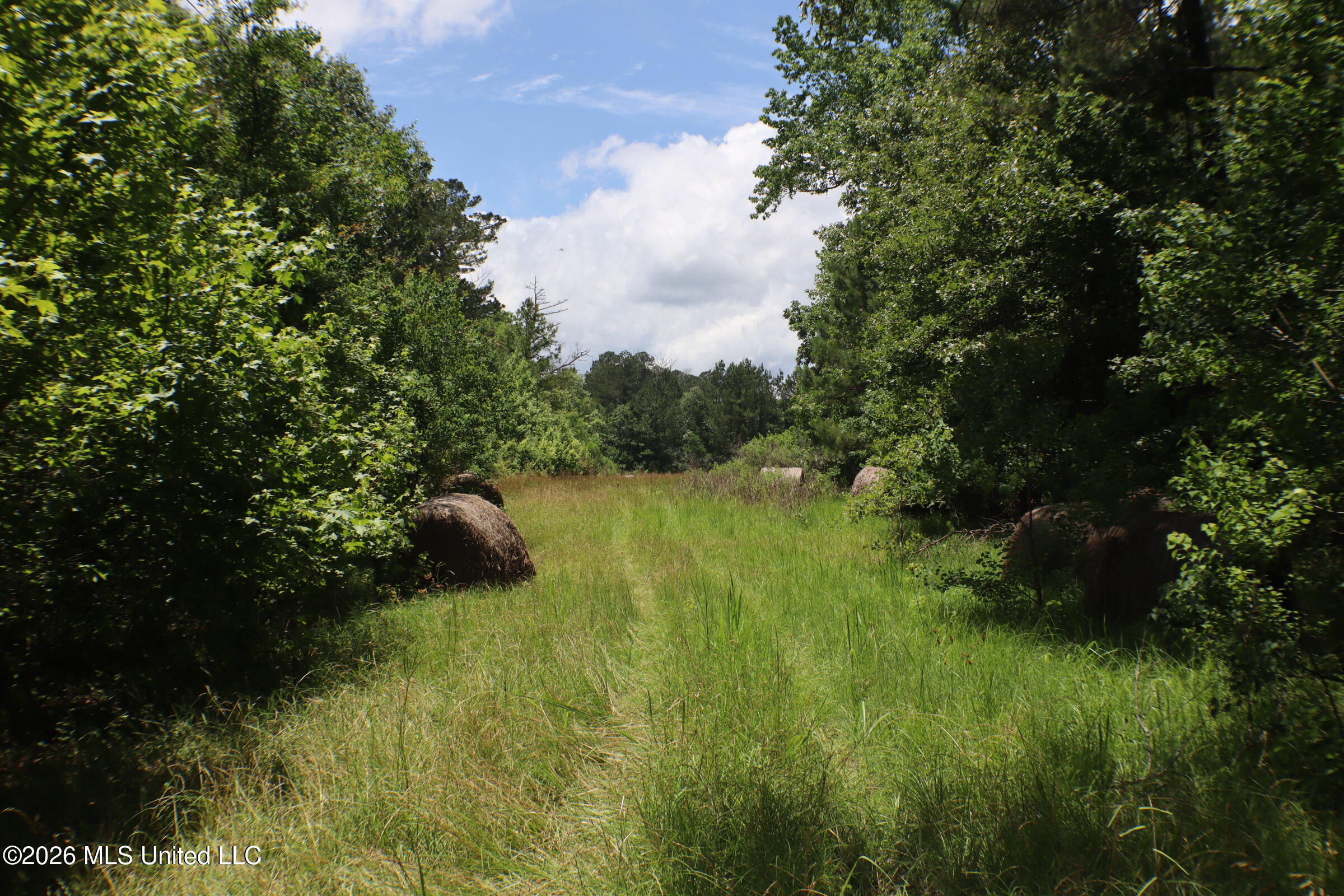 Vine Drive Property Photo 8
