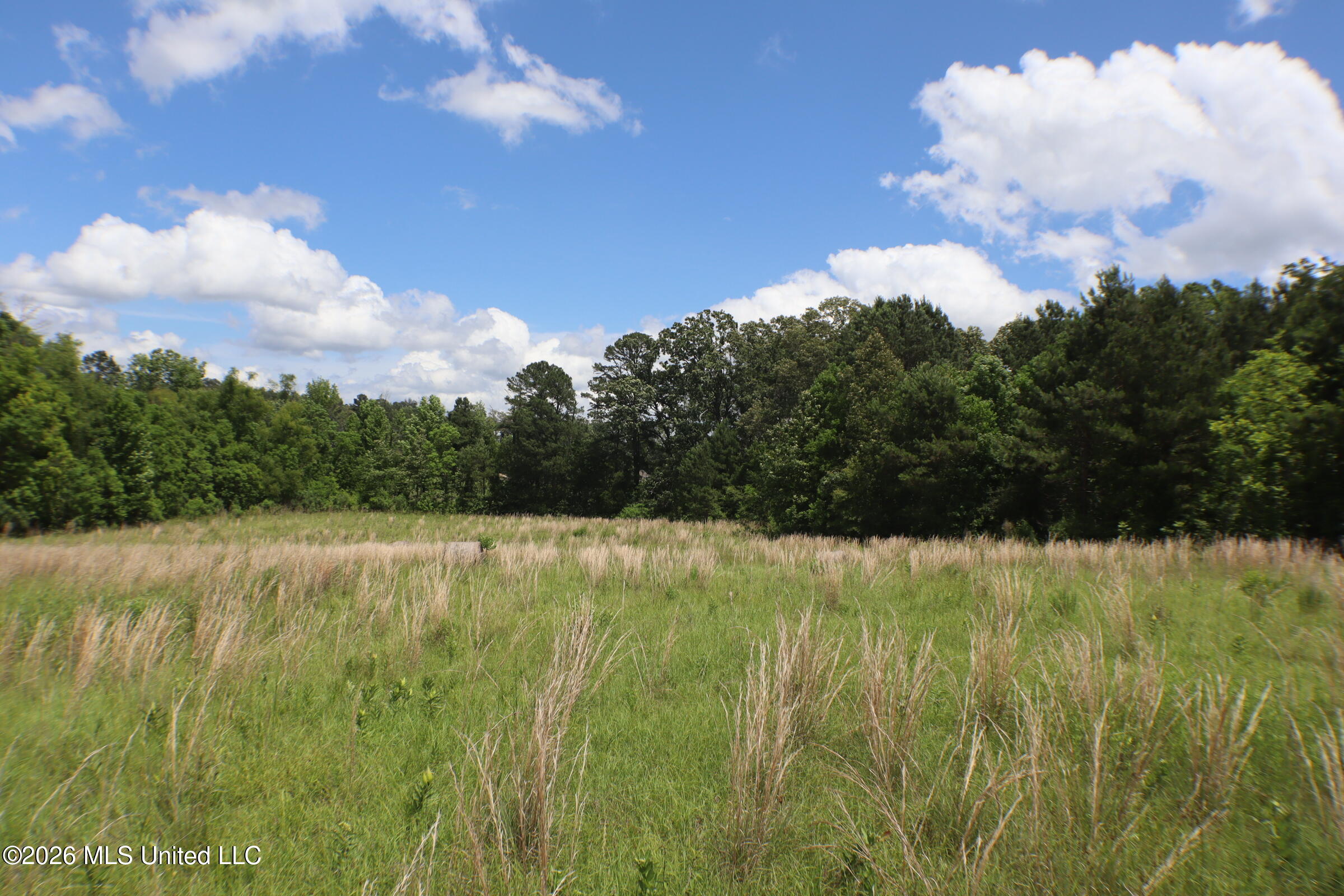 Vine Drive Property Photo 9