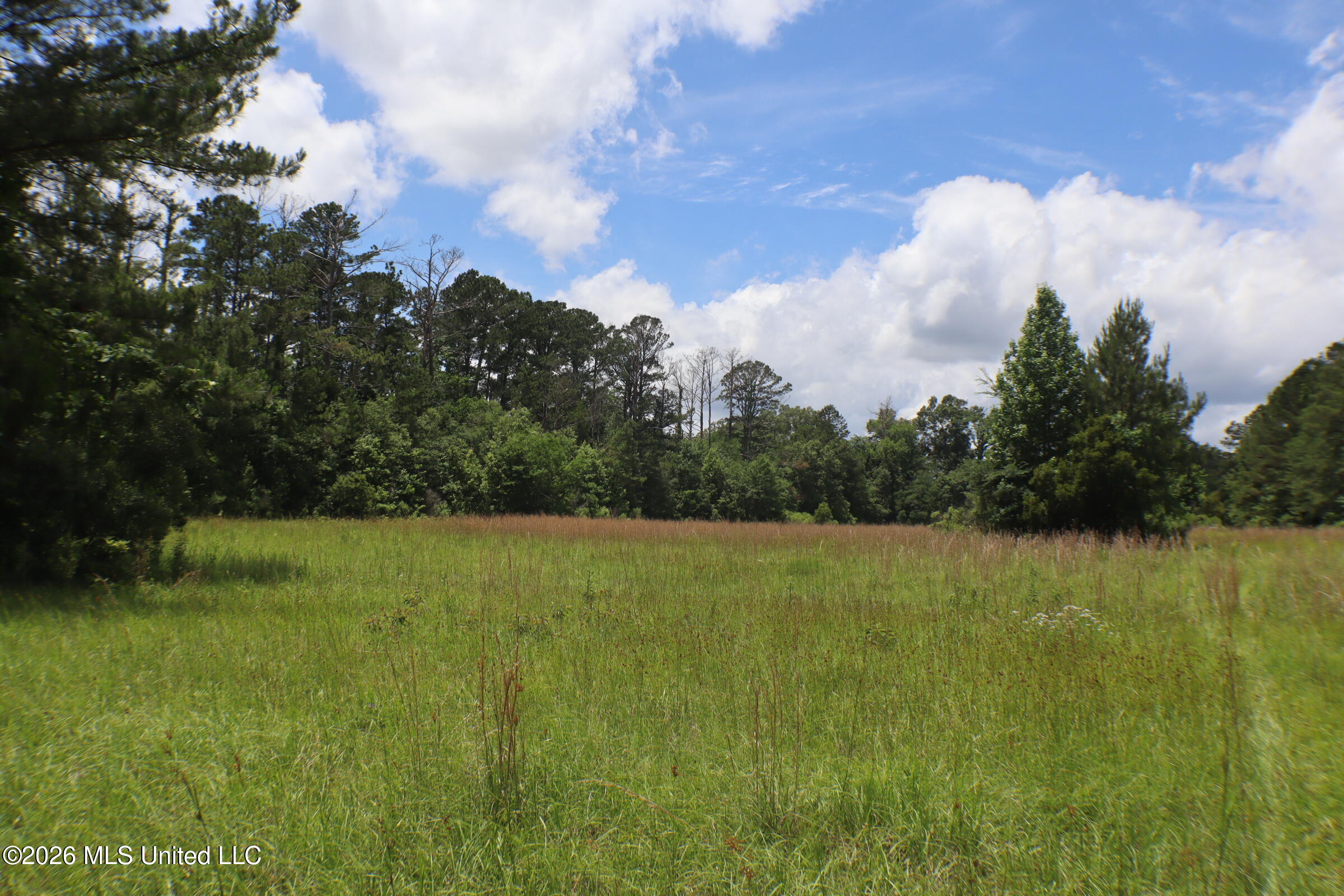 Vine Drive Property Photo 12