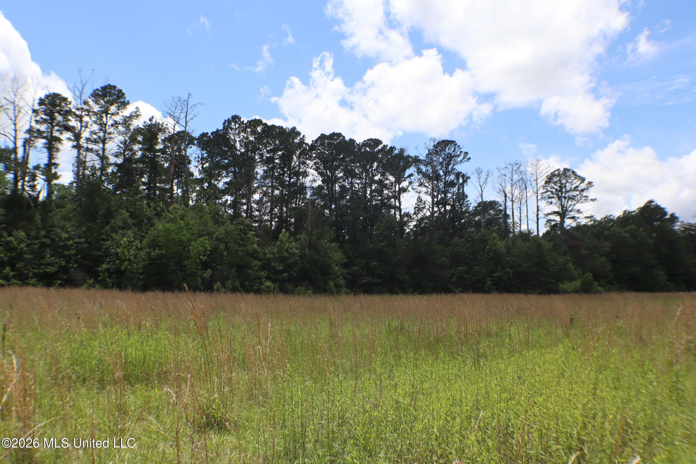 Vine Drive Property Photo 13