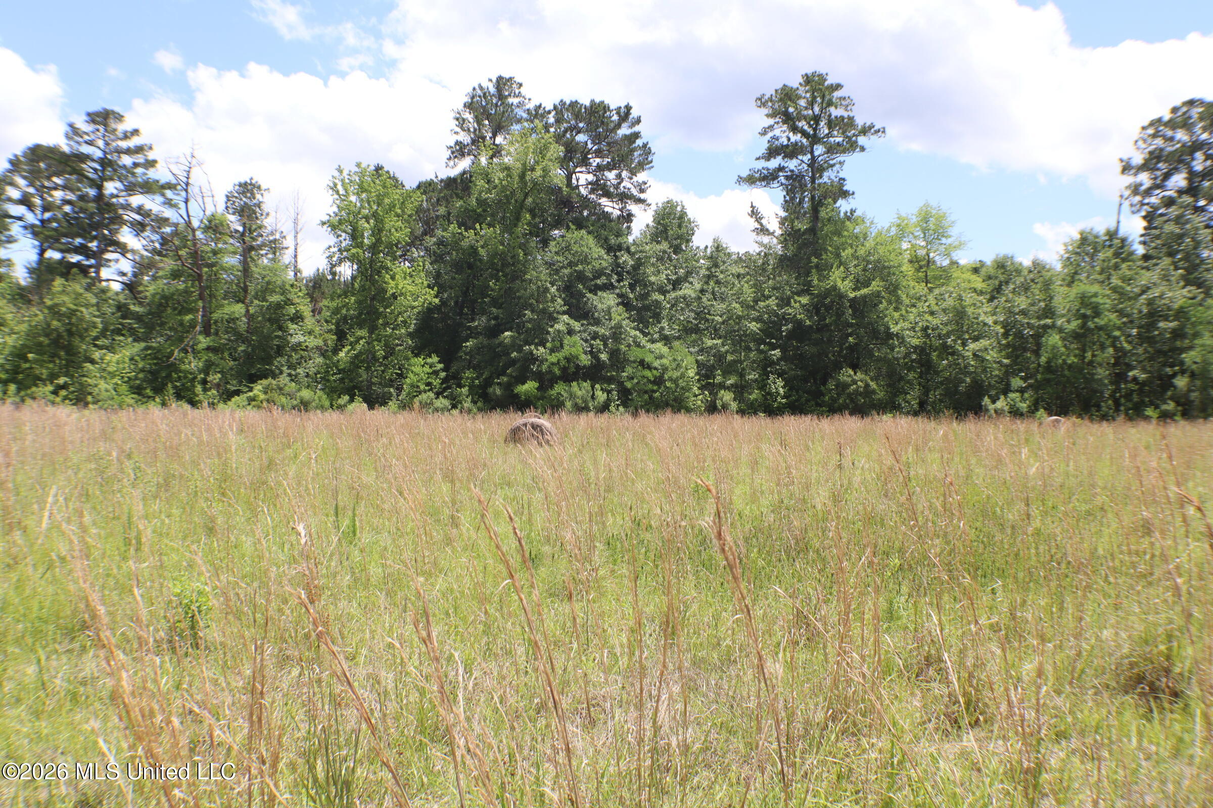 Vine Drive Property Photo 14