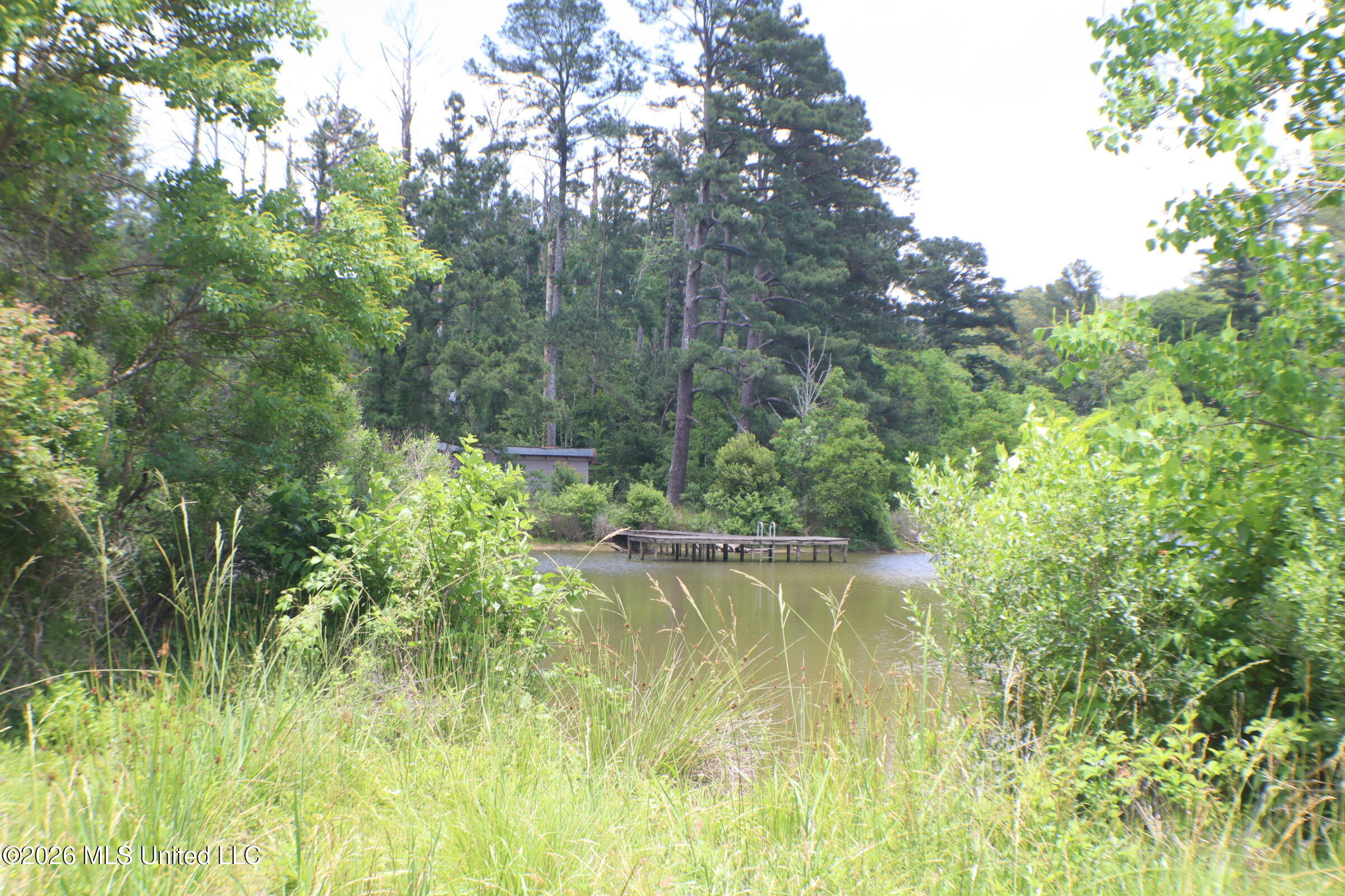 Vine Drive Property Photo 15
