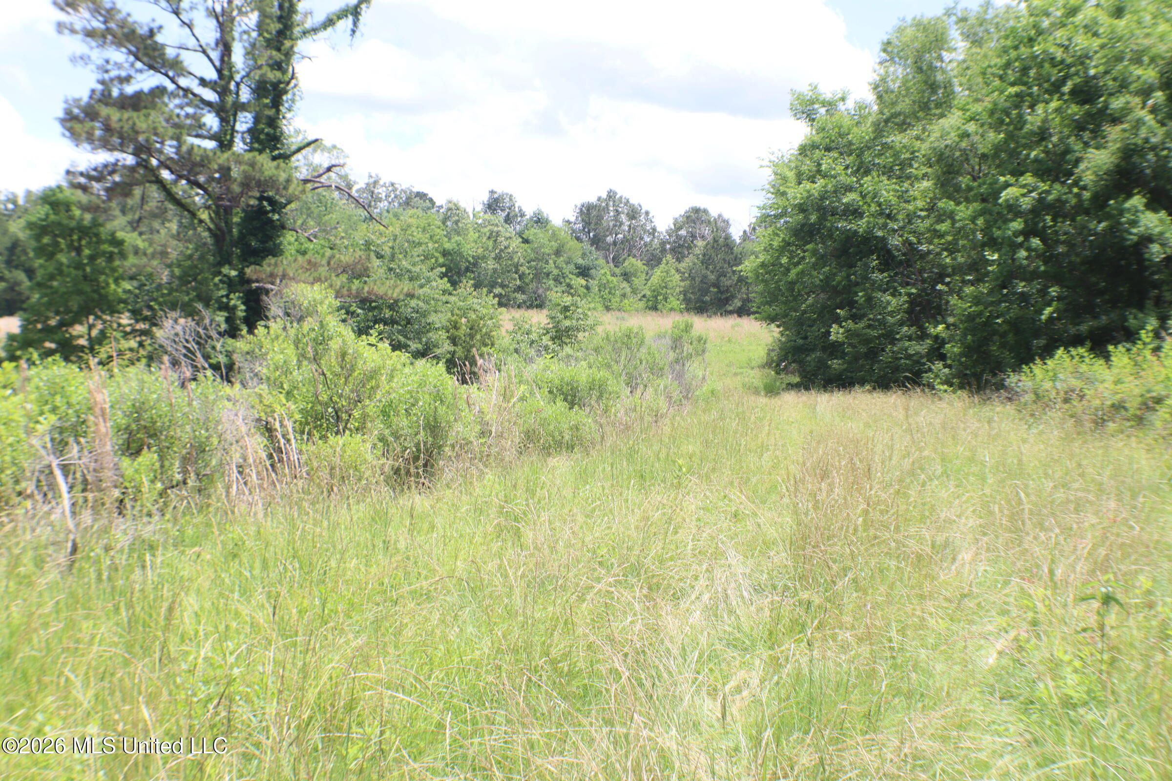 Vine Drive Property Photo 16