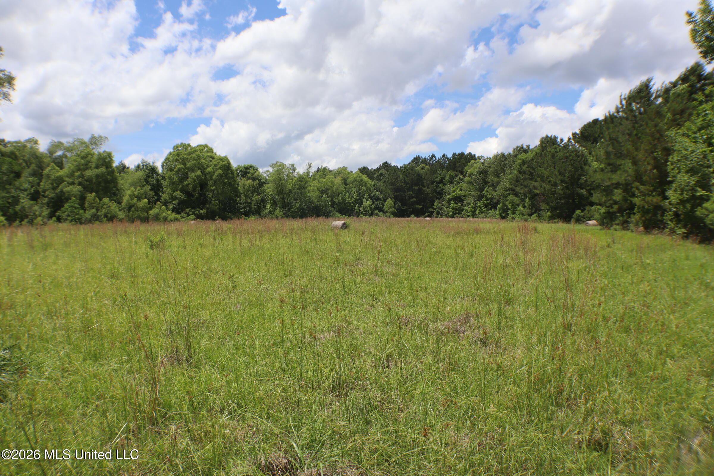 Vine Drive Property Photo 19