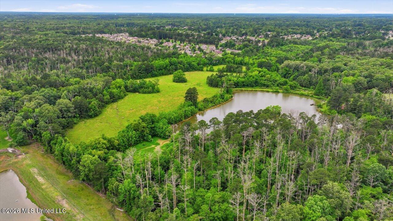 Vine Drive Property Photo 27