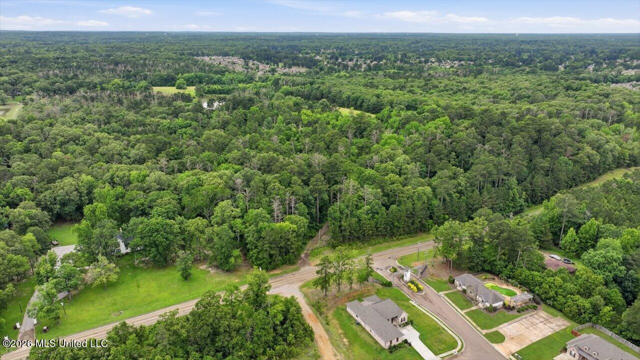 Vine Drive Property Photo 30