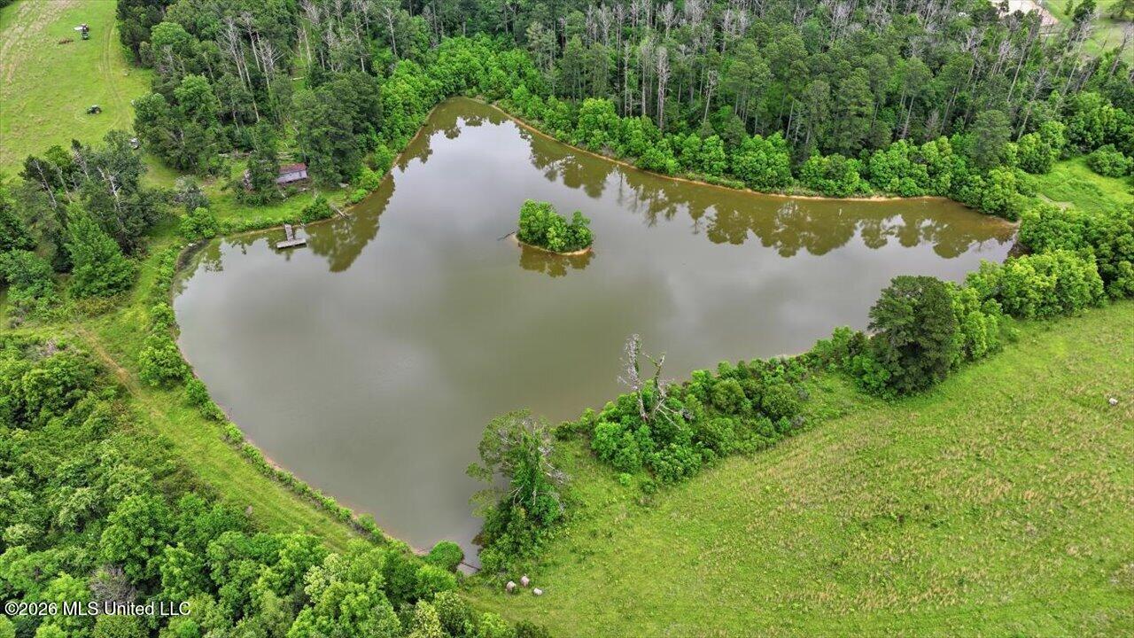 Vine Drive Property Photo 45