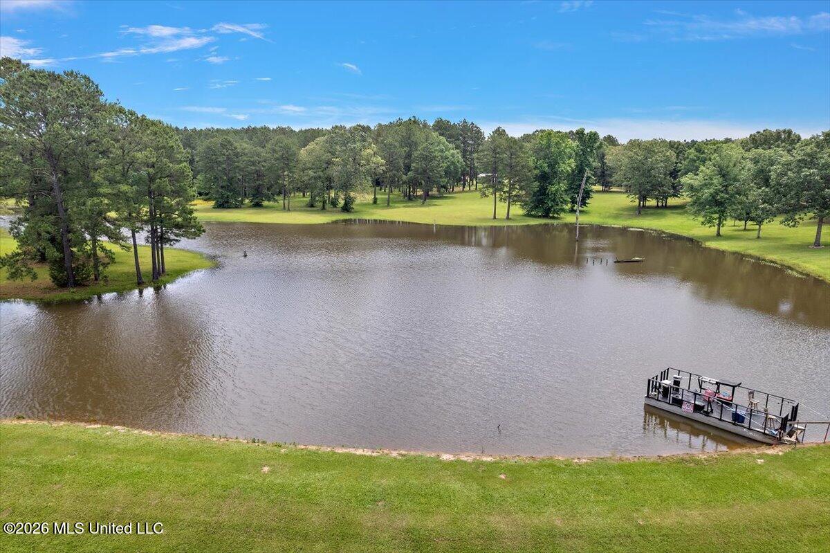 4655 Hwy 43 Property Photo 31