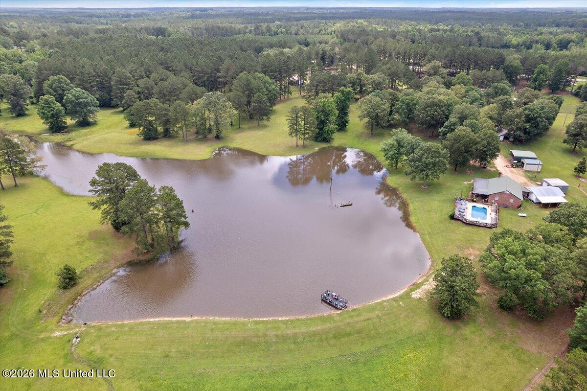 4655 Hwy 43 Property Photo 38