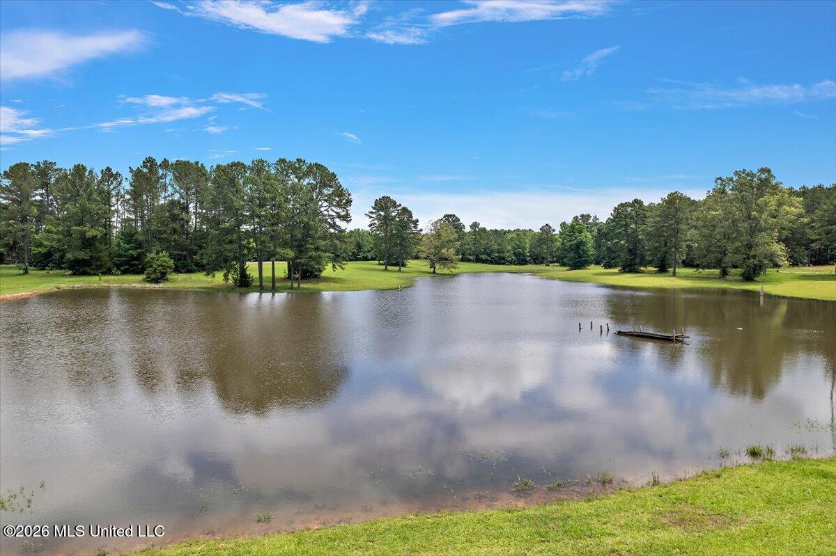 4655 Hwy 43 Property Photo 40