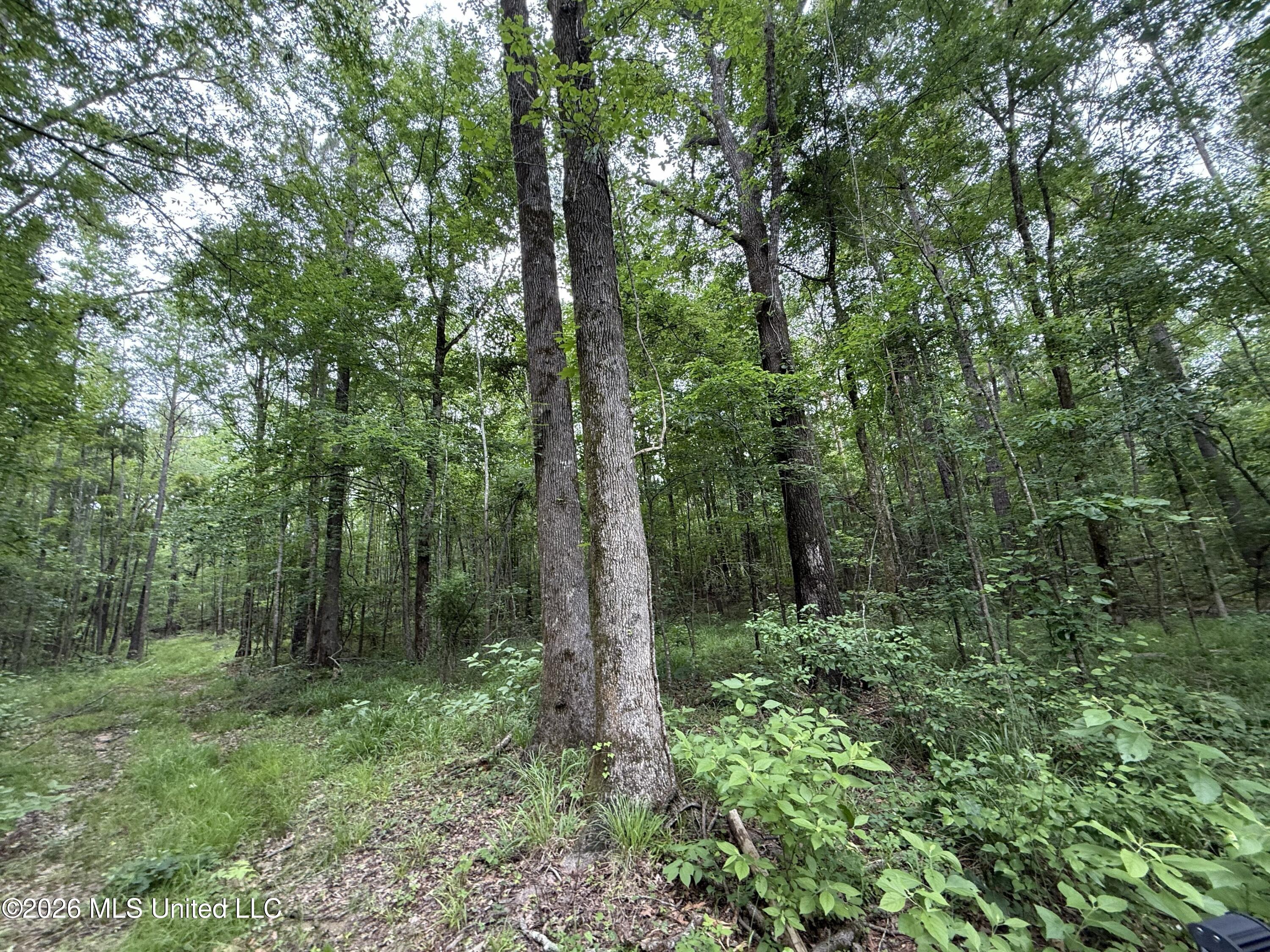 0 Shrock Road Property Photo 6
