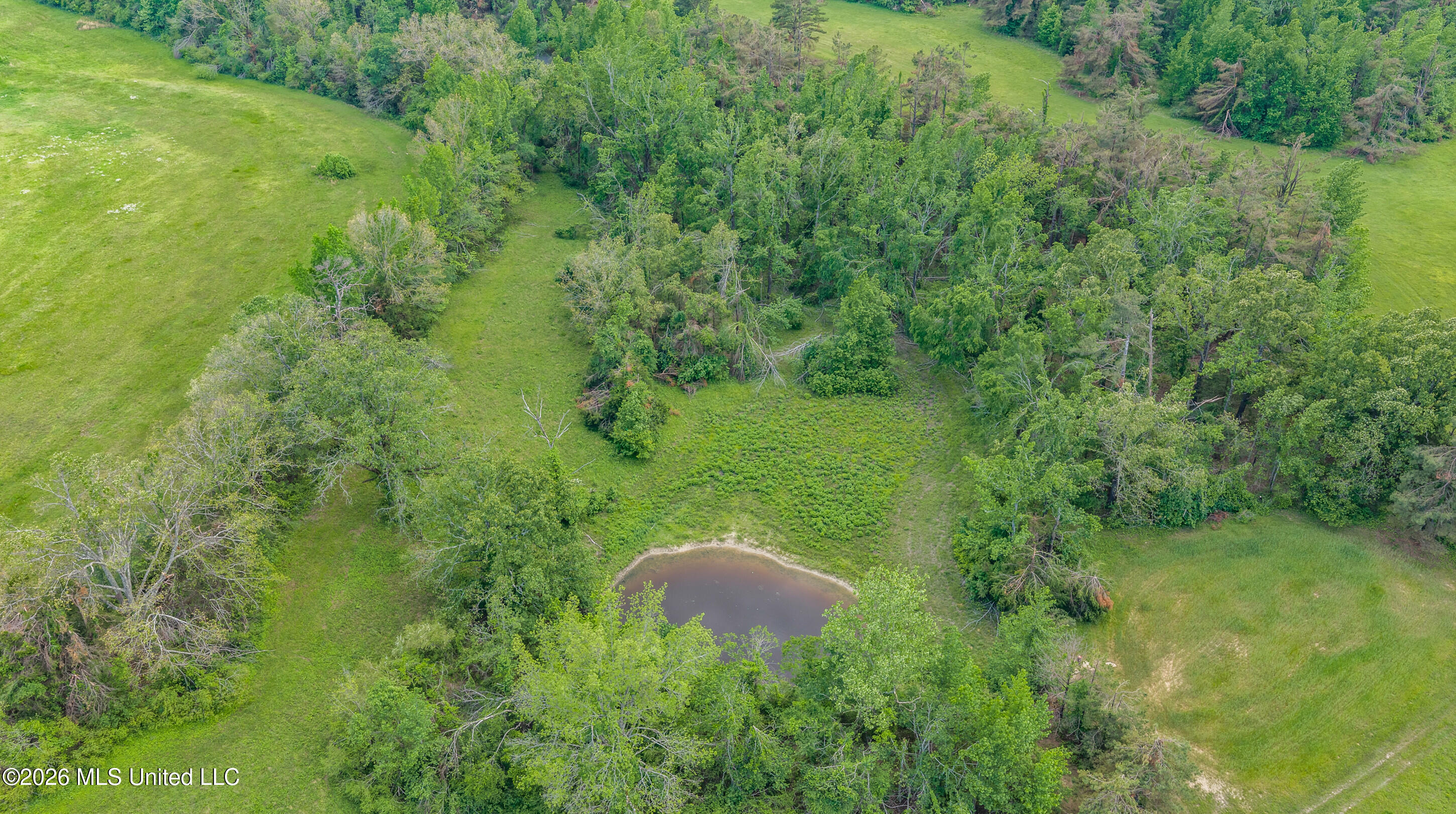County Road 222 Property Photo 6