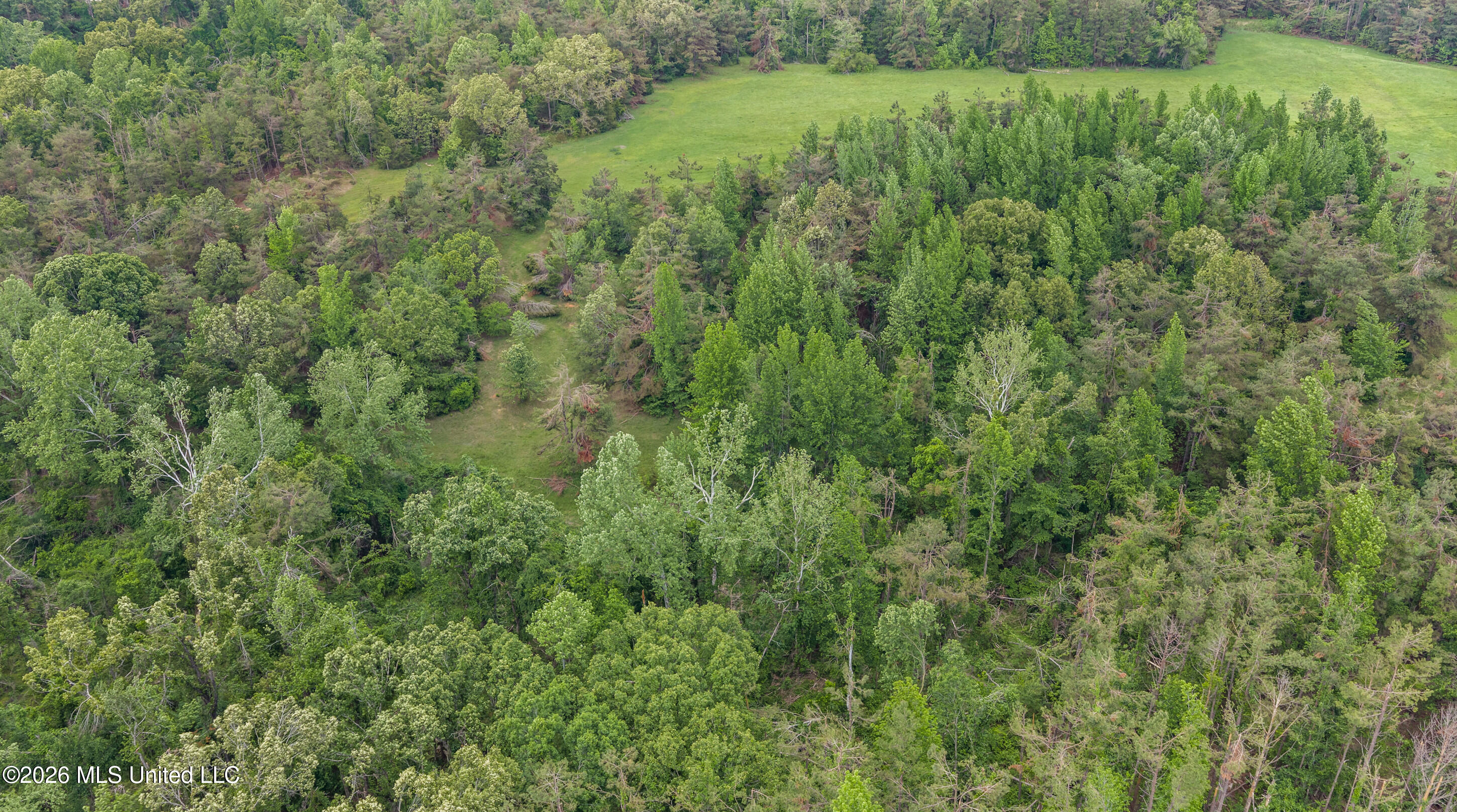 County Road 222 Property Photo 12