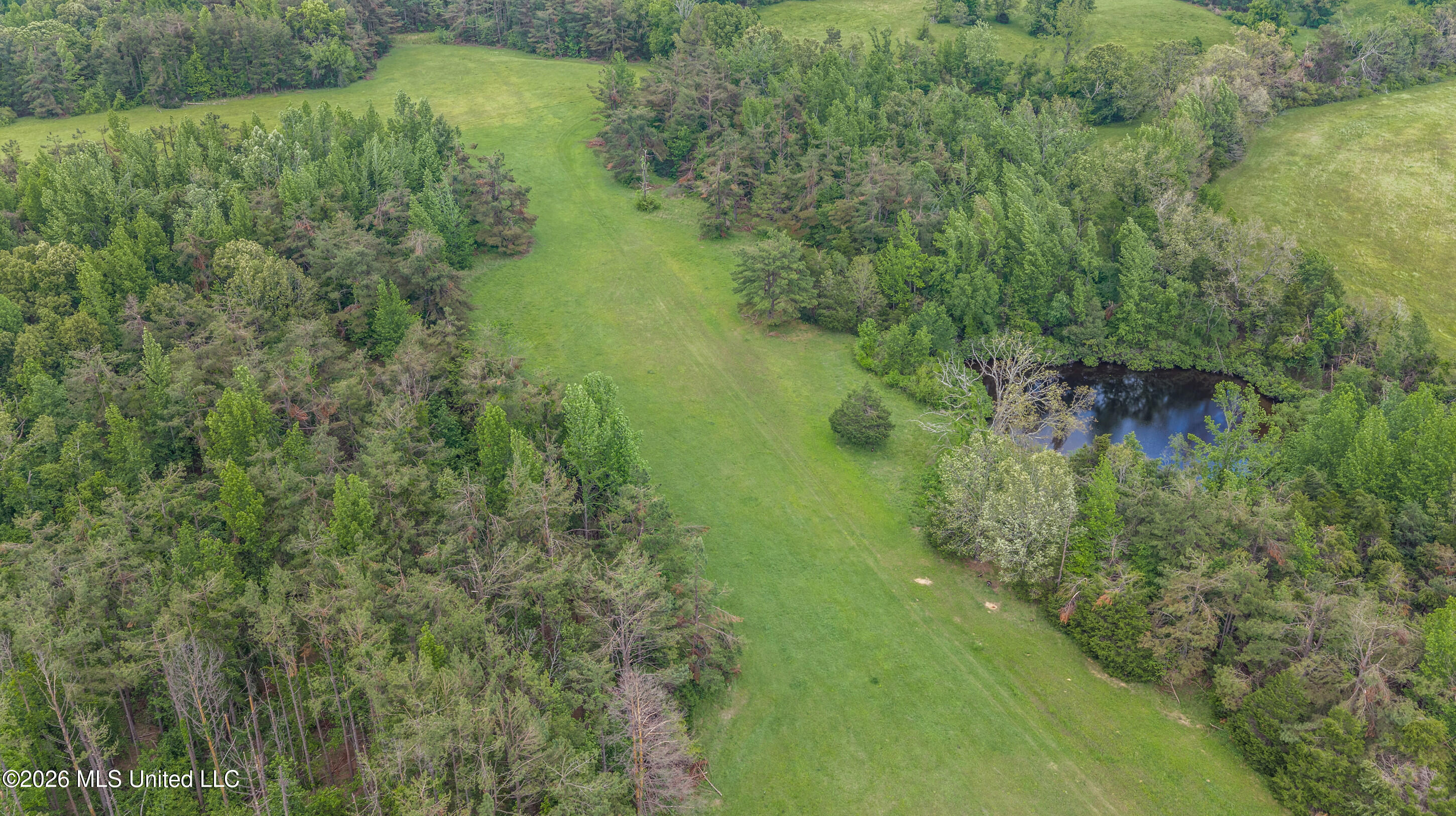 County Road 222 Property Photo 13
