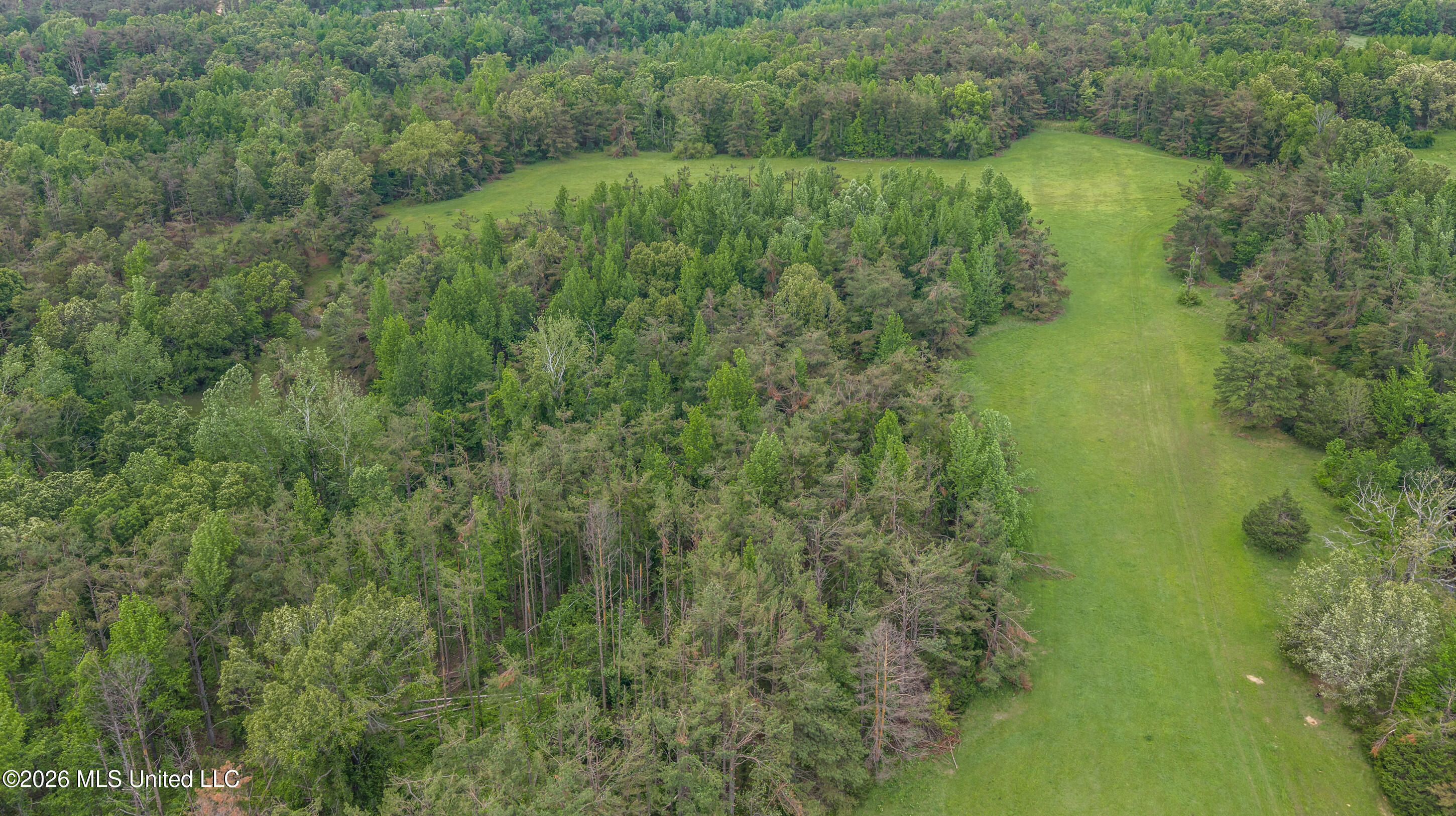 County Road 222 Property Photo 14