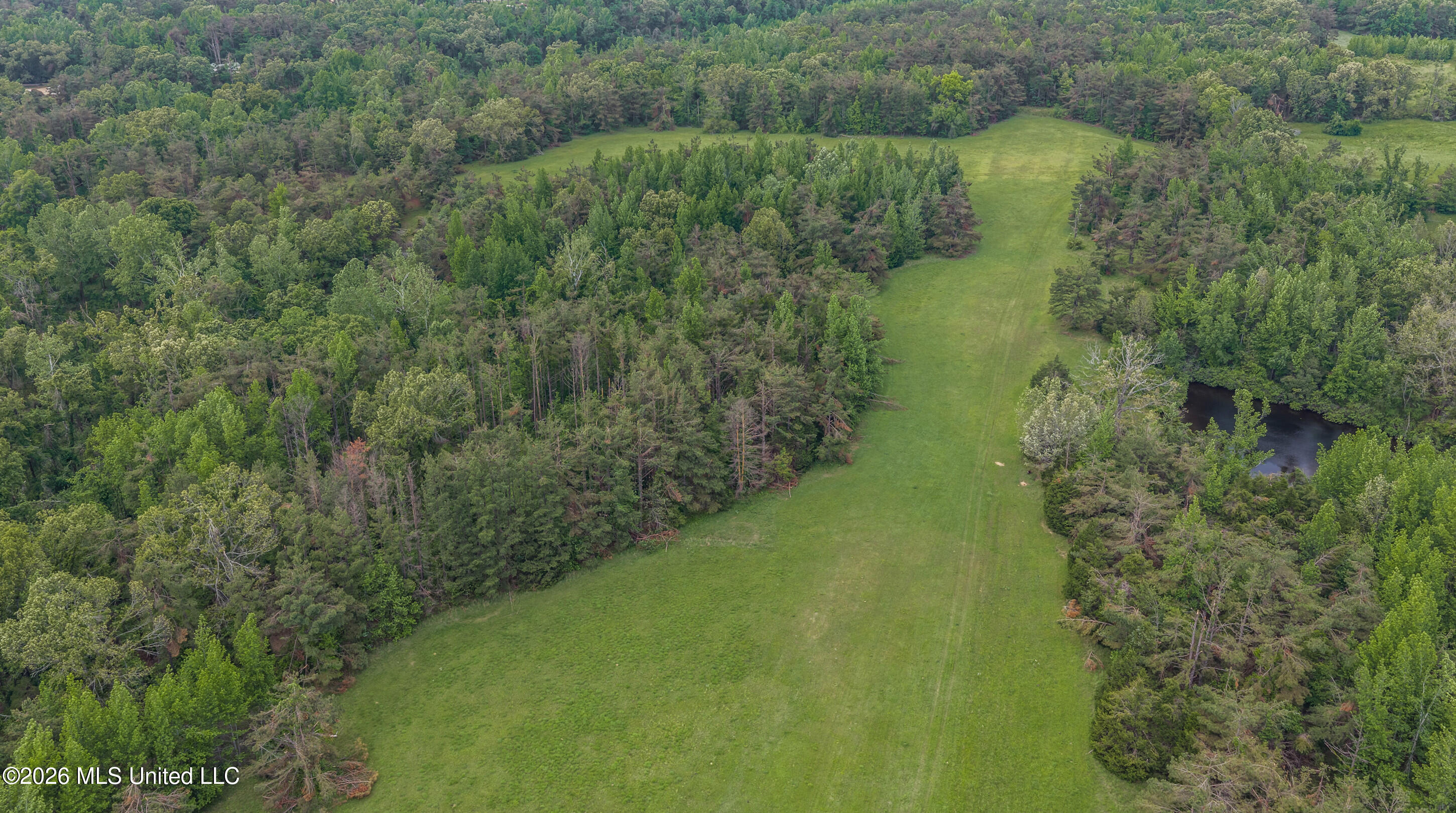 County Road 222 Property Photo 15