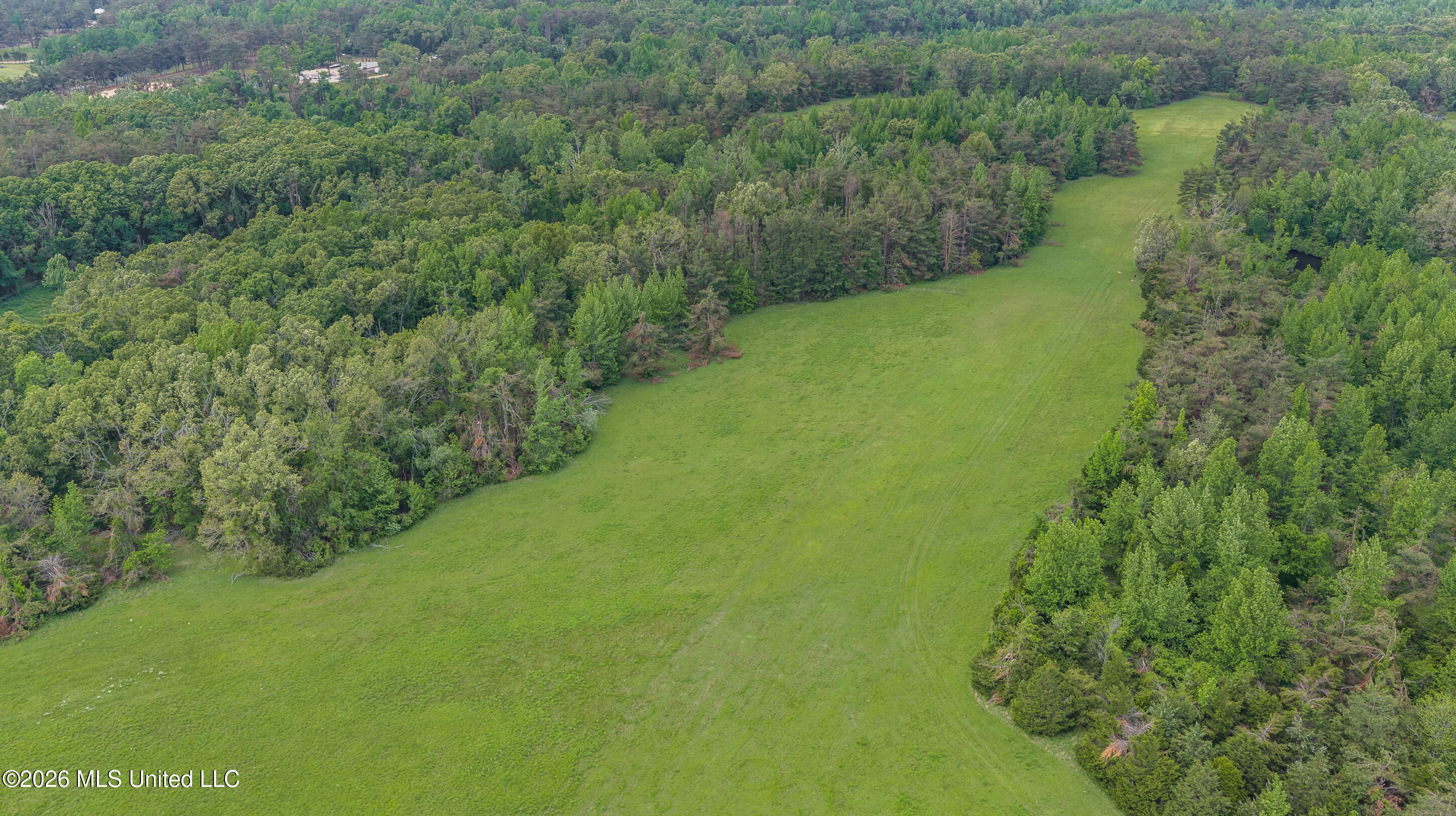 County Road 222 Property Photo 16